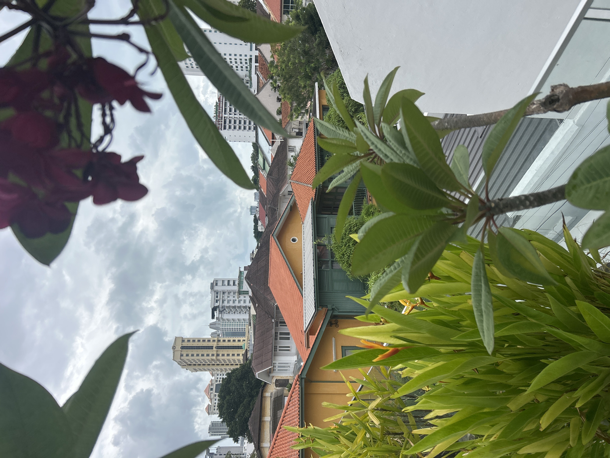 The image captures a view of George Town, Malaysia, from an elevated vantage point, likely a balcony or rooftop. In the foreground, lush green foliage and a small plant with orange and yellow flowers create a natural frame. Beyond the greenery, a cluster of low-rise residential buildings with terracotta-tiled roofs are visible, interspersed with older, pastel-colored houses. In the background, modern high-rise buildings rise above the older structures, indicating the blend of historical and contemporary architecture characteristic of George Town. The sky is overcast with soft, diffused light. No people or specific actions are depicted.