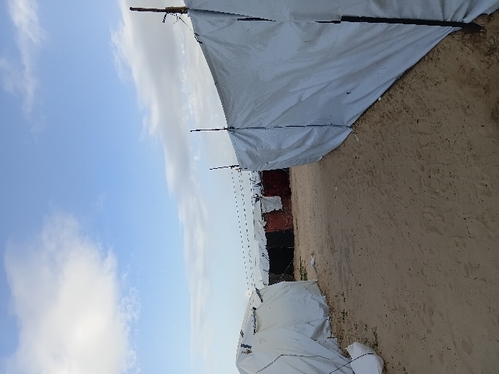 The image depicts a temporary settlement or camp under a bright, cloudy sky. The scene is dominated by sandy, barren ground, stretching from the immediate foreground towards the distant horizon. On both sides of a central path, several makeshift shelters are visible, constructed from white tarpaulin or similar light-colored fabric. These shelters appear to be supported by wooden poles or stakes, with ropes and wires possibly used for stability.
In the mid-ground, between the rows of white tents, some darker, possibly red-brown structures are intermittently visible. A thin wire or string is strung between poles, extending across the camp. The sky is a clear blue, adorned with scattered white clouds, indicating daytime conditions with soft, even lighting, possibly during morning or late afternoon.
No people are visible within the frame, and no specific activities are taking place, creating a quiet and static atmosphere. The rudimentary nature of the shelters and the sandy environment strongly suggest a refugee or internally displaced persons camp, aligning with the provided location context of Khan Yunis, Palestinian Territory. The ground is dry and appears to be a mix of fine sand and dust. No visible text is present in the image.