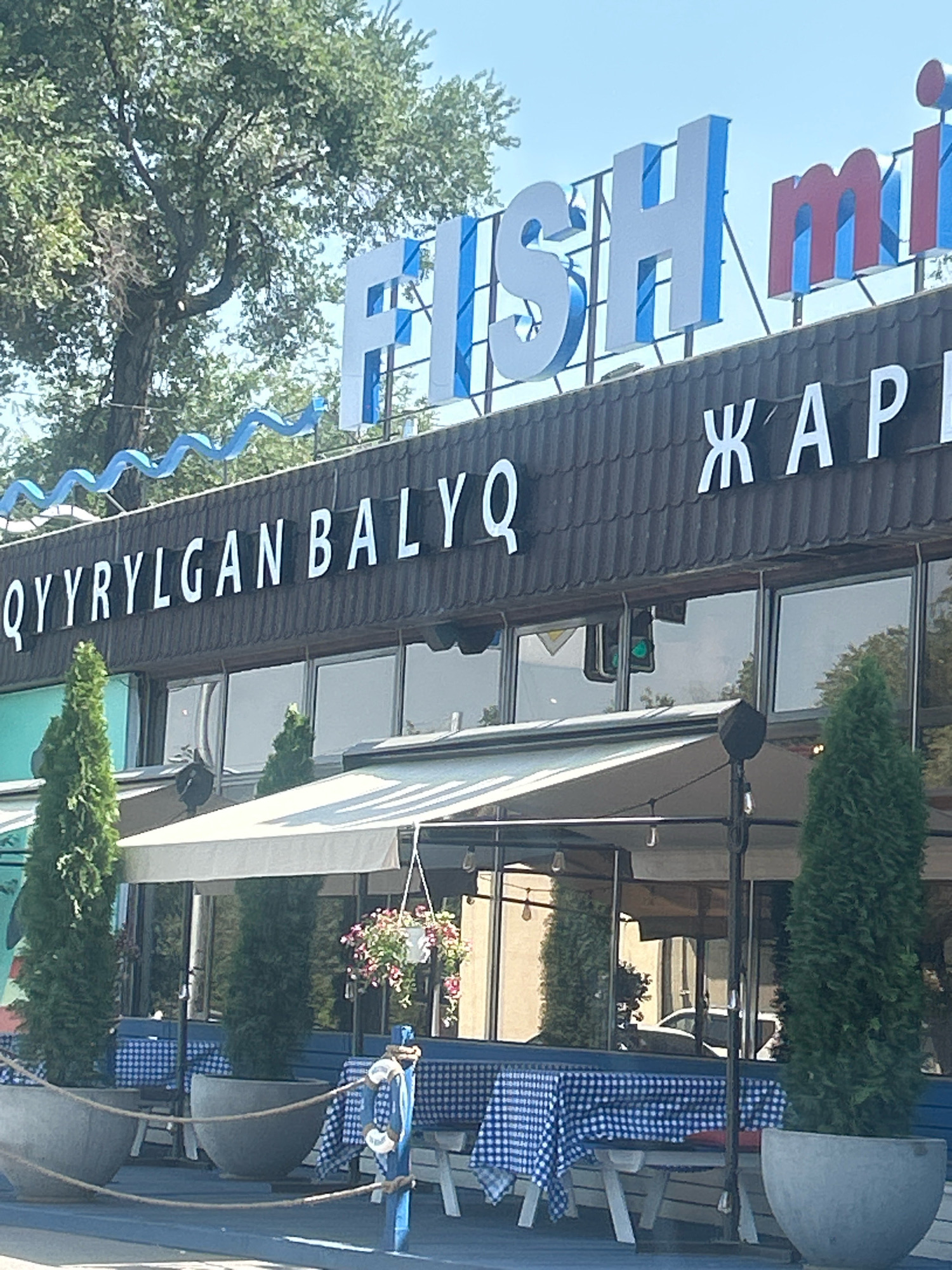 The image depicts the exterior of a restaurant in Almaty, Kazakhstan, identified by the prominent signage. Large, raised white letters with blue and red accents spell out "FISH m" at the top of the building. Below this, a horizontal sign in white lettering on a dark background reads "QYYRYLGAN BALYQ". To the right, more white lettering on a dark background displays "ЖАР". The restaurant features an outdoor seating area with tables covered in blue and white checkered tablecloths. Two tall, conical evergreen trees are planted in large gray planters at the front of the seating area. A string of blue wavy decorations is suspended above the main signage. The building has large windows reflecting the sky and surrounding trees. The overall scene suggests a daytime setting, possibly a warm day given the outdoor dining setup.