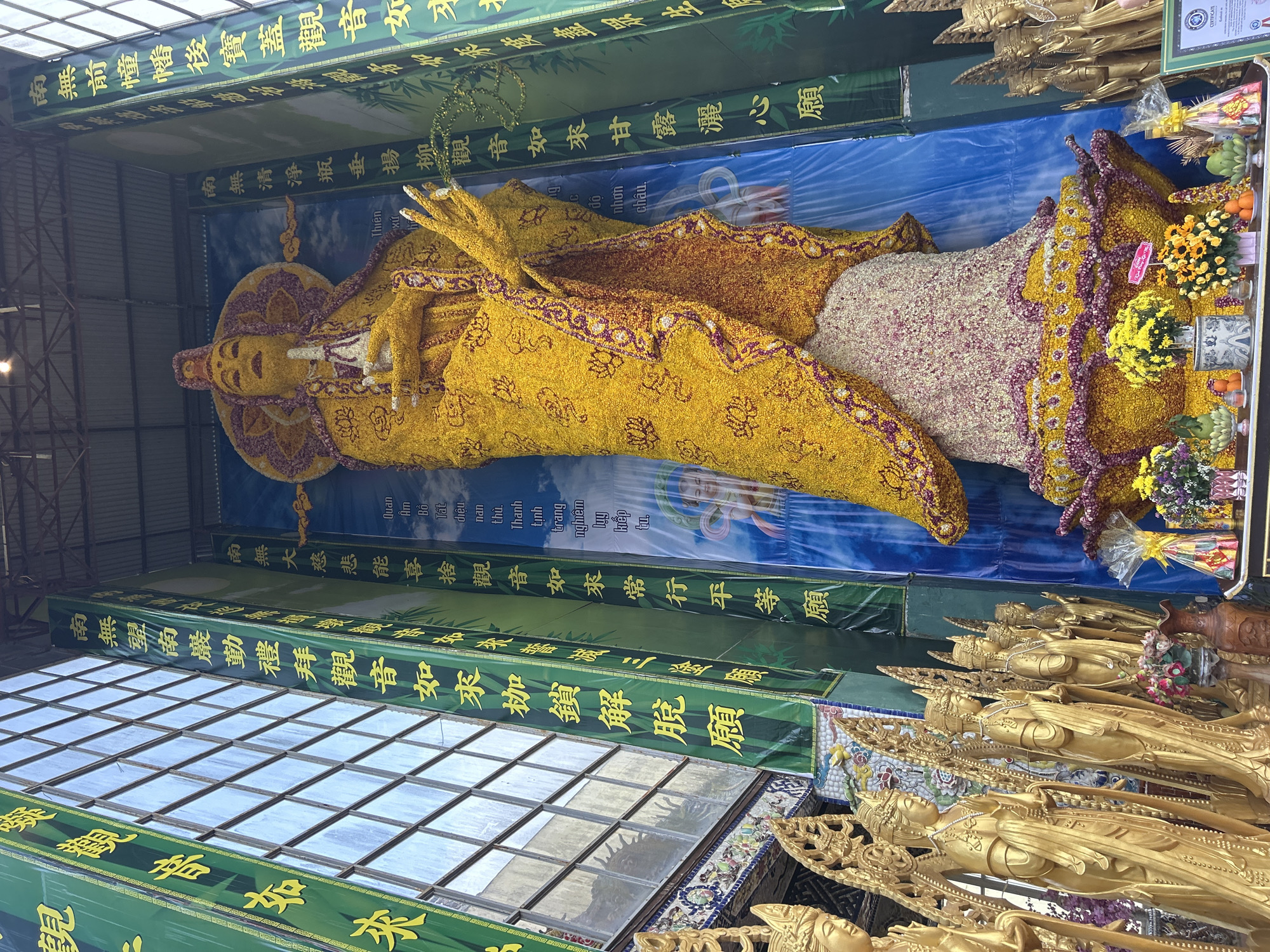 This image captures a vibrant and reverent scene, likely within a temple or religious exhibition in Xuân Thành, Vietnam. The central focus is a large, reclining effigy of what appears to be a Bodhisattva or Buddha, primarily composed of yellow and purple flowers. The figure lies on its right side, head resting on its right arm, with the left arm gently placed over the body. Intricate patterns, also formed from flowers, adorn its robes and halo. The head features delicate facial details and an elaborate headpiece.
Behind the floral figure is a blue backdrop depicting clouds and a faint image of a deity, suggesting a celestial setting. The figure is displayed within a structure, possibly a glass case or a designated enclosure, indicated by the reflective grid-like panels above and to the left. Along the top and sides of the enclosure are green banners with golden Vietnamese and Chinese characters.
Visible text on the banners includes repeated references to "南無觀音如來" (Namo Guanyin Tathagata), indicating the figure represents Avalokiteshvara (Guanyin), the Bodhisattva of Compassion. Specific phrases like "南無清淨瓶垂楊柳觀音如來甘露灑心願" (Homage to Guanyin Tathagata of the pure vase and drooping willow, wishing for nectar to sprinkle the heart) and "南無大慈悲能喜捨觀音如來常行平等願" (Homage to Guanyin Tathagata of great compassion, able to joyfully give, always acting with equality) are clearly legible, highlighting different aspects and vows associated with Guanyin. Some Vietnamese text, like "Thiên diệu nan thù. Thanh tịnh ng độ nhơn châu," also appears.
To the right of the floral figure, at its feet, are various offerings including bouquets of fresh flowers (yellow and purple), fruits like oranges and bananas, and decorative items. Further to the right and foreground, several rows of smaller, golden statues depicting seated or standing figures, also possibly Guanyin, are arranged on ornate pedestals. A framed "CERTIFICATE" is also visible among the offerings. The lighting suggests daytime, with light filtering in from above, creating a serene and worshipful atmosphere.