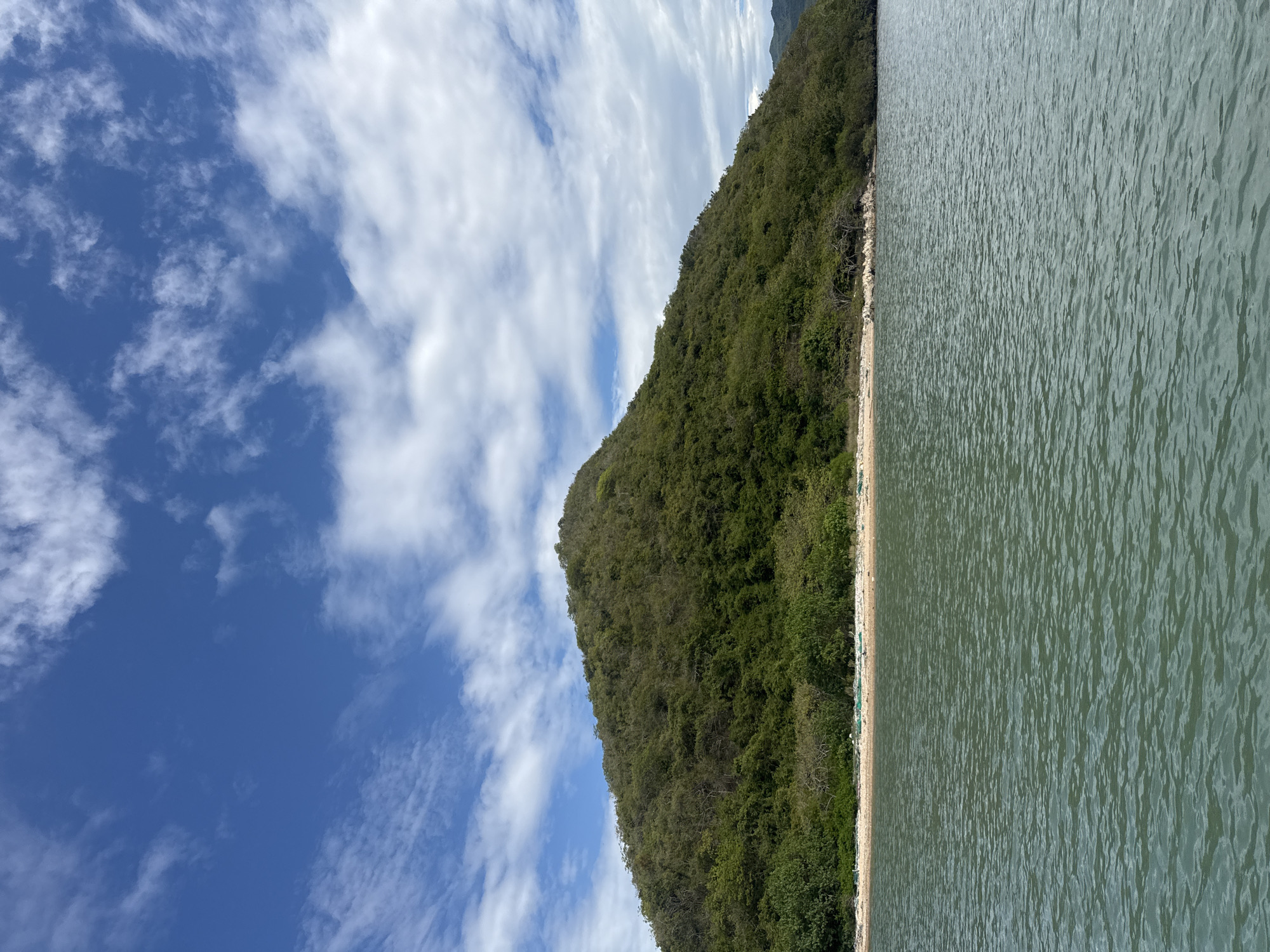 The image shows a large, verdant, tree-covered hill rising from a narrow sandy beach. The hill dominates the middle ground and slopes down to the left and right. The water in the foreground is a greenish-blue, with gentle ripples on the surface. The sky above is a bright blue with scattered white clouds. The beach appears to be part of a coastal area, with vegetation growing right up to the sand. This scene is likely located in the coastal region of Ninh Hoa town, Khanh Hoa province, Vietnam, known for its natural beauty and numerous islands. There are no people visible in the image.