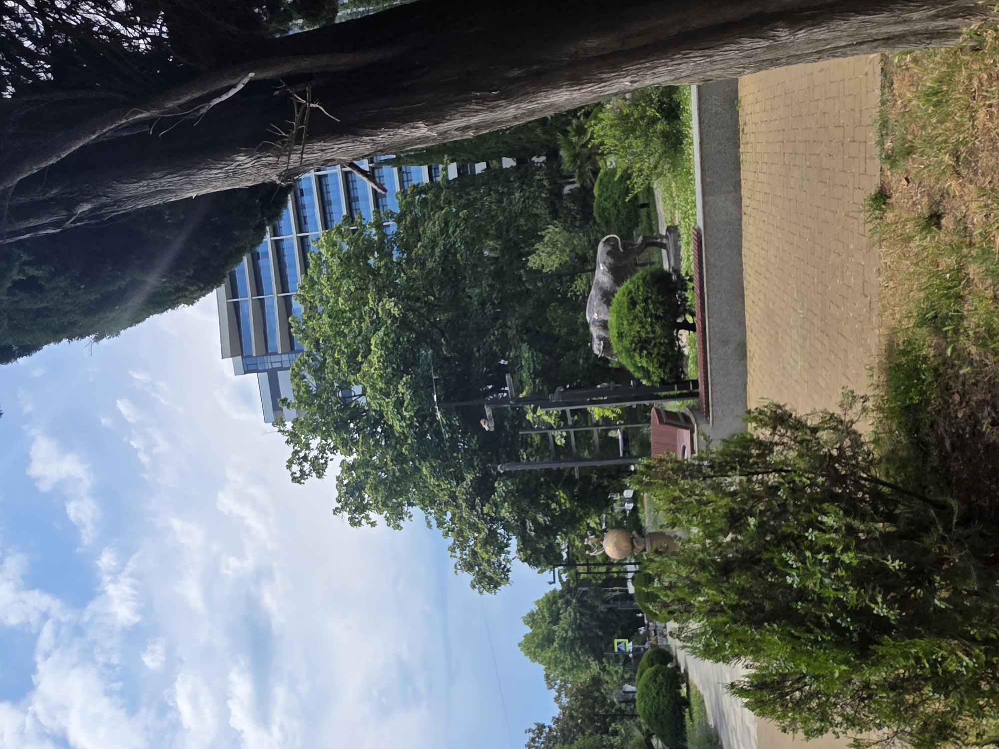 The image depicts a park area in Sochi, Russia, on a bright, cloudy day. In the foreground, a large tree trunk occupies the right side, with foliage obscuring part of the background. A paved walkway with yellow rectangular bricks leads through the park, flanked by green bushes and grass. A statue of a bull stands in the middle ground, near a low stone wall and a red wooden bench. Behind the bull, a large green tree dominates the scene, with a modern building featuring blue-tinted windows visible behind it. A smaller, spherical sculpture with figures on top is also present further in the background, near the walkway. The sky is a vibrant blue with scattered white clouds. The overall impression is that of a well-maintained public space in an urban setting.