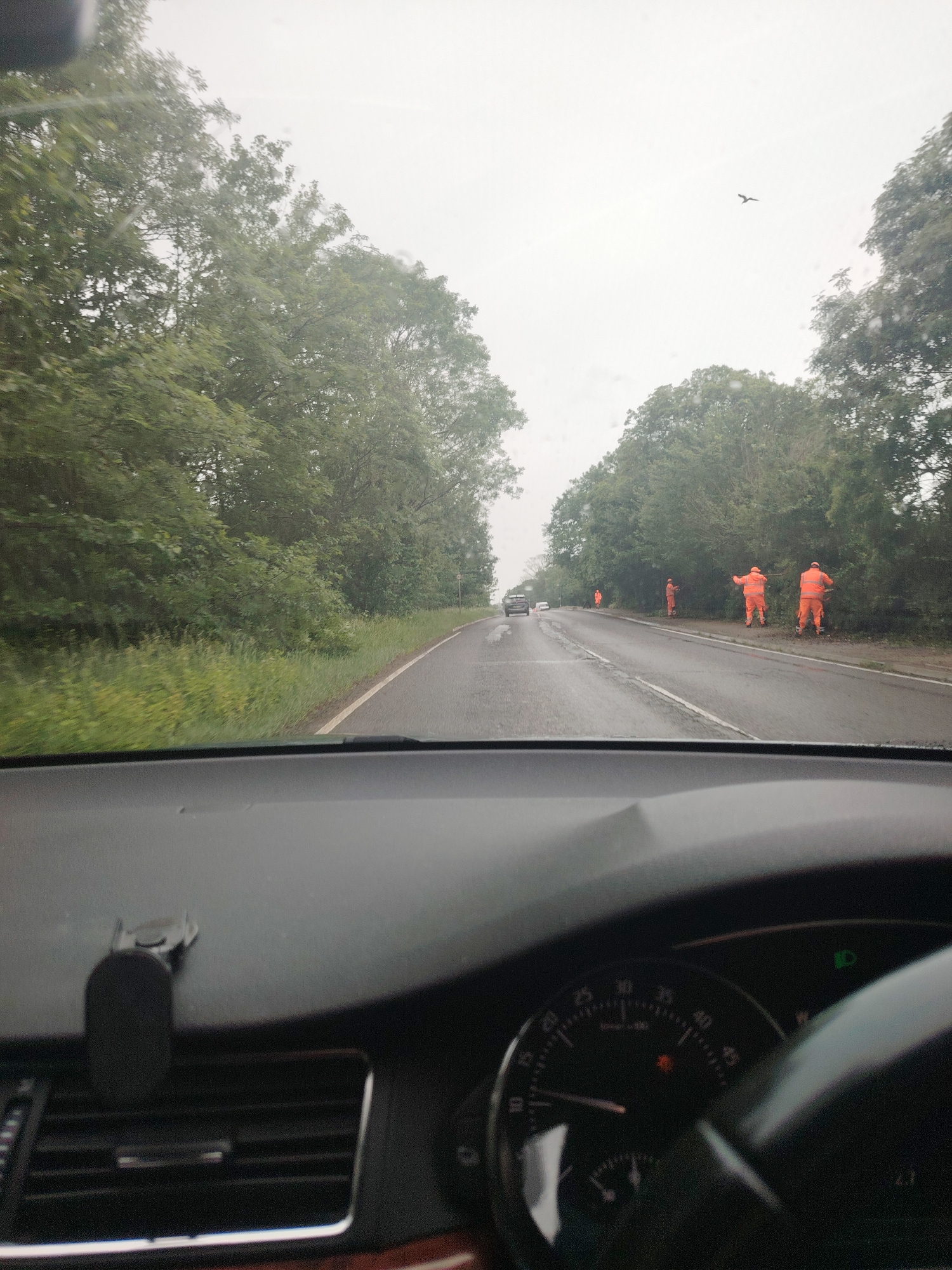 The image provides a driver's perspective from within a vehicle, looking ahead down a damp, two-lane asphalt road. The sky is overcast and bright, suggesting a cloudy day, possibly with recent rain, as evidenced by the wet road surface.
Several individuals are visible on the right side of the road, dressed in bright orange high-visibility workwear. At least five workers are present, with two in the foreground appearing to be engaged in roadside maintenance, such as trimming hedges or clearing vegetation that lines the road. Three additional workers can be seen further down the road, also in orange attire.
The road is bordered by dense trees and bushes on both sides, with green grass and foliage. In the distance, a few other vehicles are discernable on the road. High above in the cloudy sky, a single bird is captured in flight in the upper right.
The foreground of the image shows part of the car's interior, including a dark dashboard, an air vent, and a black phone holder/mount affixed to the dashboard. To the right, a portion of the vehicle's instrument cluster is visible, featuring a dark dial with numbers ranging from 10 to 45 (likely indicating RPMs or speed), along with a small illuminated red light and a green indicator light. The scene depicts a routine moment of travel through a rural or semi-rural area in Huntingdonshire, United Kingdom, where roadside maintenance is being carried out.