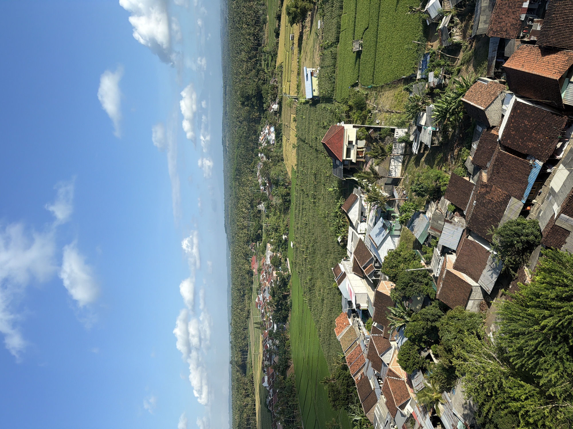 The image is an aerial view of a rural village in Dadapan, Indonesia, on a clear day with scattered white clouds against a bright blue sky. The foreground is dominated by a cluster of houses with red-tiled roofs, interspersed with lush green trees and vegetation. A pathway or narrow road is visible running through the houses.
Beyond the houses, the landscape transitions into agricultural fields. There are vibrant green fields, likely rice paddies or cornfields, with some areas appearing to be harvested or planted with different crops, showing shades of green and yellow. Further in the distance, a dense forest of palm trees stretches across the horizon, creating a lush, green backdrop. Several small structures, possibly farm sheds or small buildings, are scattered throughout the fields. The overall impression is of a serene and verdant rural environment.