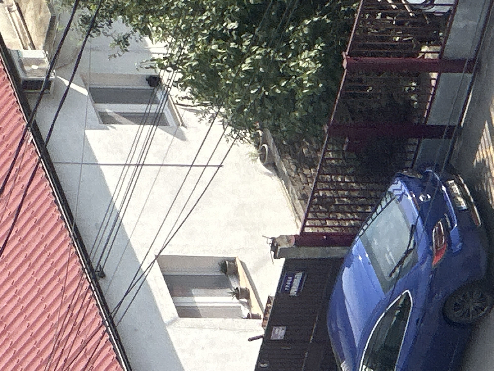 This image depicts a residential building in Belgrade, Serbia. A blue sedan is parked in front of a dark brown fence. The building has a red tiled roof and white walls, with several windows visible. A large tree with green foliage is located to the right of the building. Power lines are strung across the scene. The ground appears to be asphalt or concrete. The overall impression is a typical urban residential area.