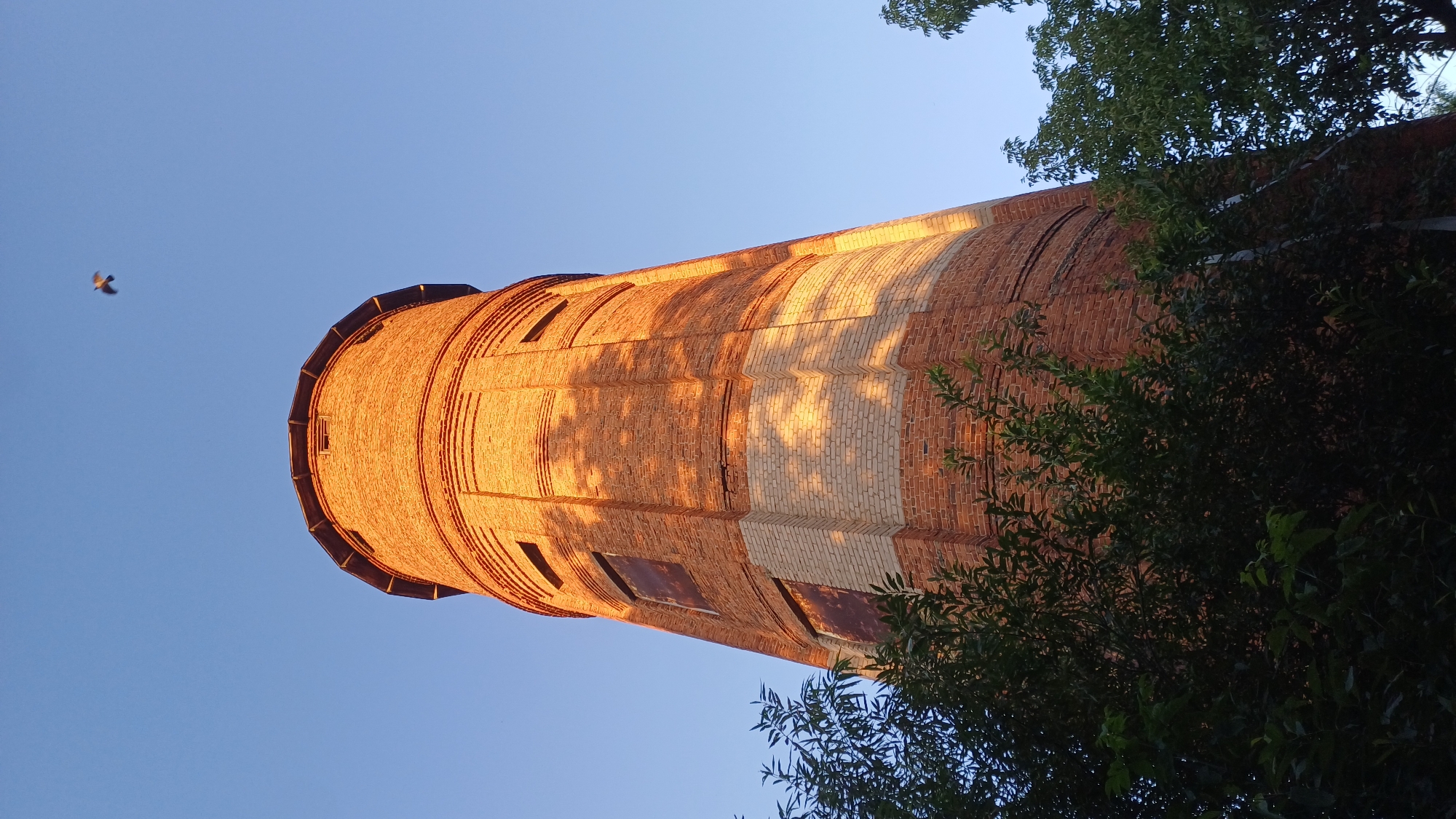 A tall, circular brick water tower is visible against a clear blue sky. The tower is constructed primarily of red brick, with a band of lighter-colored bricks encircling it about a third of the way up. Several rectangular windows with boarded-up openings are spaced around the tower. Sunlight casts shadows across the brickwork, highlighting the textured surface. In the upper portion of the sky, a small, dark bird is in flight. The lower part of the image is partially obscured by dark green foliage from trees. Based on its architectural style and historical context, this water tower is likely located in Izhevsk, Russia, specifically in the area of the Izhevsk Metallurgical Plant, which was constructed in the late 19th and early 20th centuries.