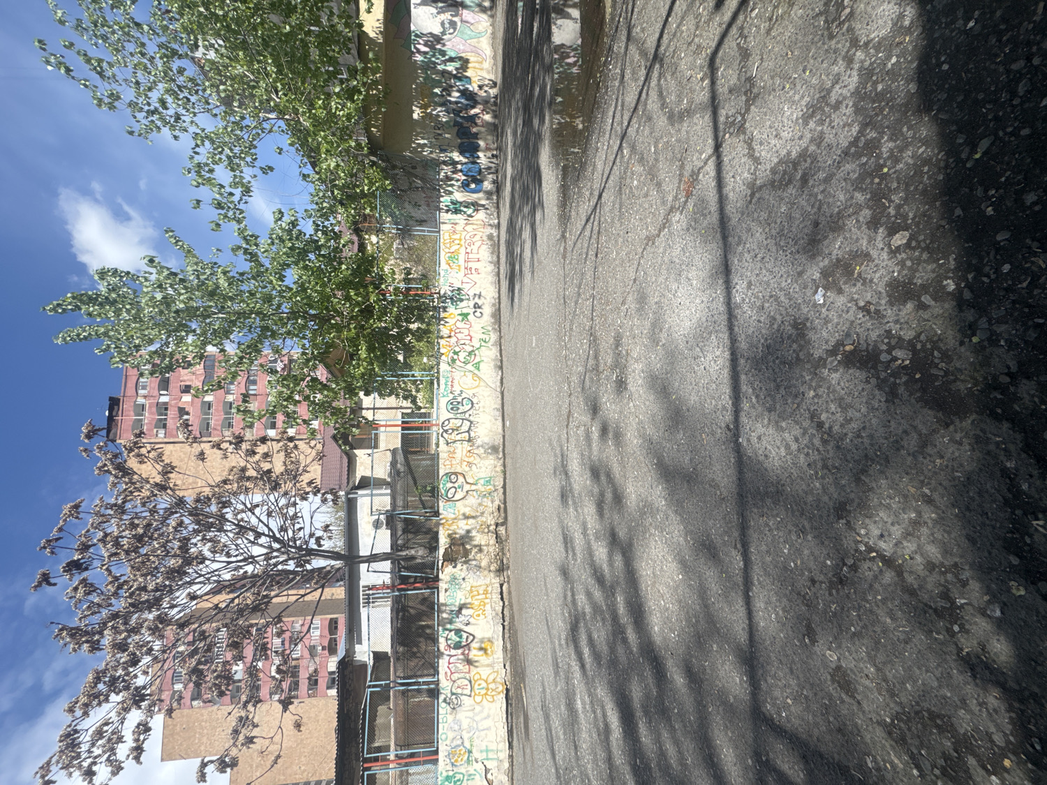 An outdoor urban scene in Yerevan, Armenia, is depicted on a bright, sunny day. The image shows a paved street or pathway on the right side, running diagonally from the foreground to the background. This asphalt surface is mottled with lighter patches, possibly from water or stains, and is heavily covered by distinct, dappled shadows from overhead tree branches, indicating strong sunlight.
On the left side of the scene, a low, concrete wall serves as a boundary, separating the paved area from a vegetated strip with buildings beyond. This wall is extensively covered in colorful graffiti, featuring various stylized letters, tags, and cartoon-like figures, though specific words are not clearly discernible. Behind the graffiti-covered wall, two prominent trees stand against a clear blue sky dotted with a few white clouds. The tree closer to the viewer has delicate, bare branches adorned with light-colored blossoms or buds, suggesting early spring. Further back, a second tree is fully leafed with vibrant green foliage.
In the background, several multi-story buildings are visible, characterized by numerous windows and balconies. One building is a reddish-brown hue, while another appears lighter, a sandy or beige color. No people are present in the scene, and no specific activity is taking place. The strong shadows and bright sky suggest the time of day is likely midday or early afternoon.