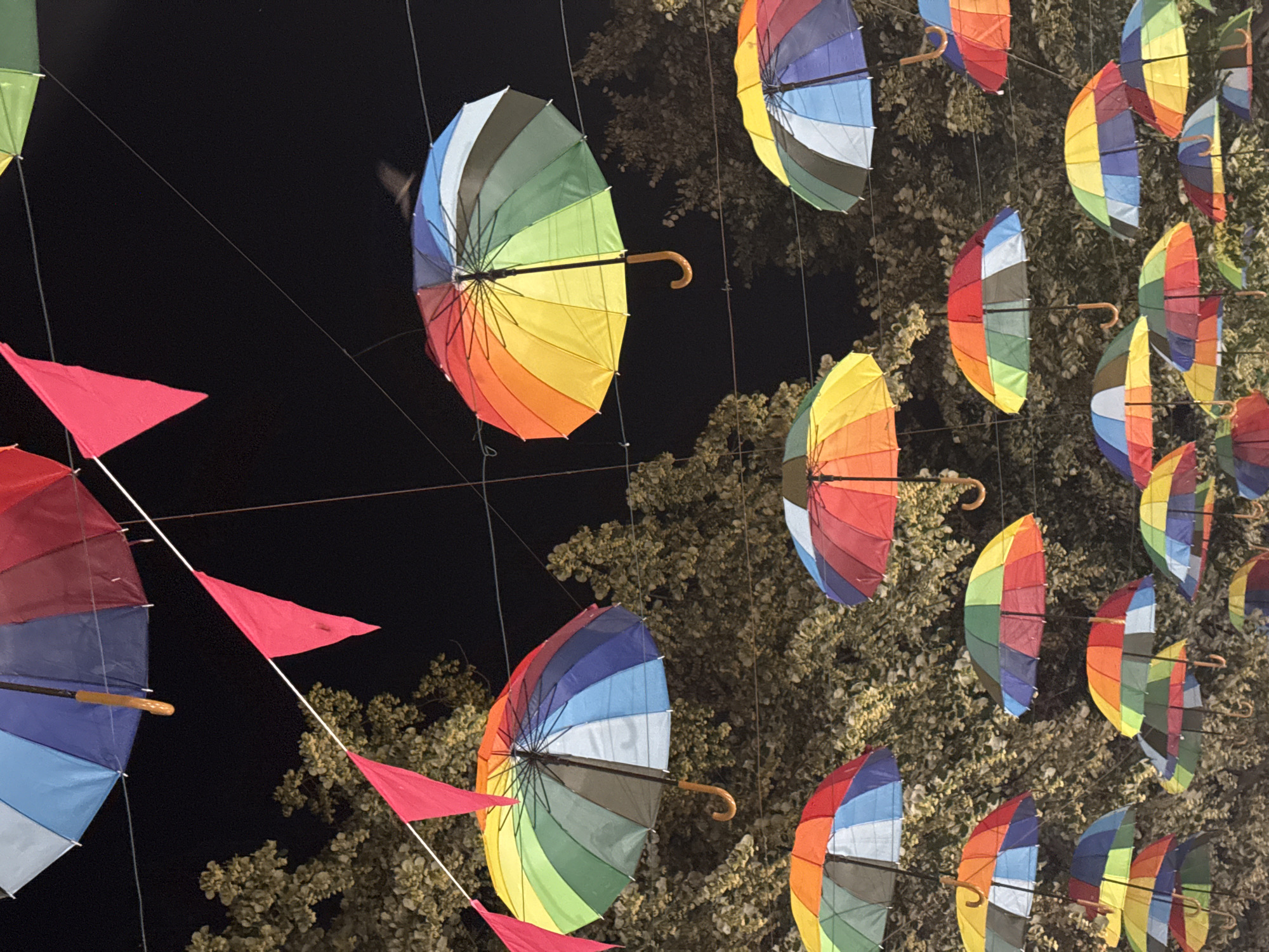In Burgas, Bulgaria, a nighttime scene is illuminated by a display of colorful, open umbrellas suspended overhead, interspersed with red triangular flags. The umbrellas, many featuring rainbow patterns of red, orange, yellow, green, blue, and purple, hang from wires against a dark sky and the silhouettes of trees. Some umbrellas show individual panels of solid colors. The perspective is from below, looking up at the canopy of umbrellas. The atmosphere suggests a festive or decorative installation, possibly in a public space or during an event.