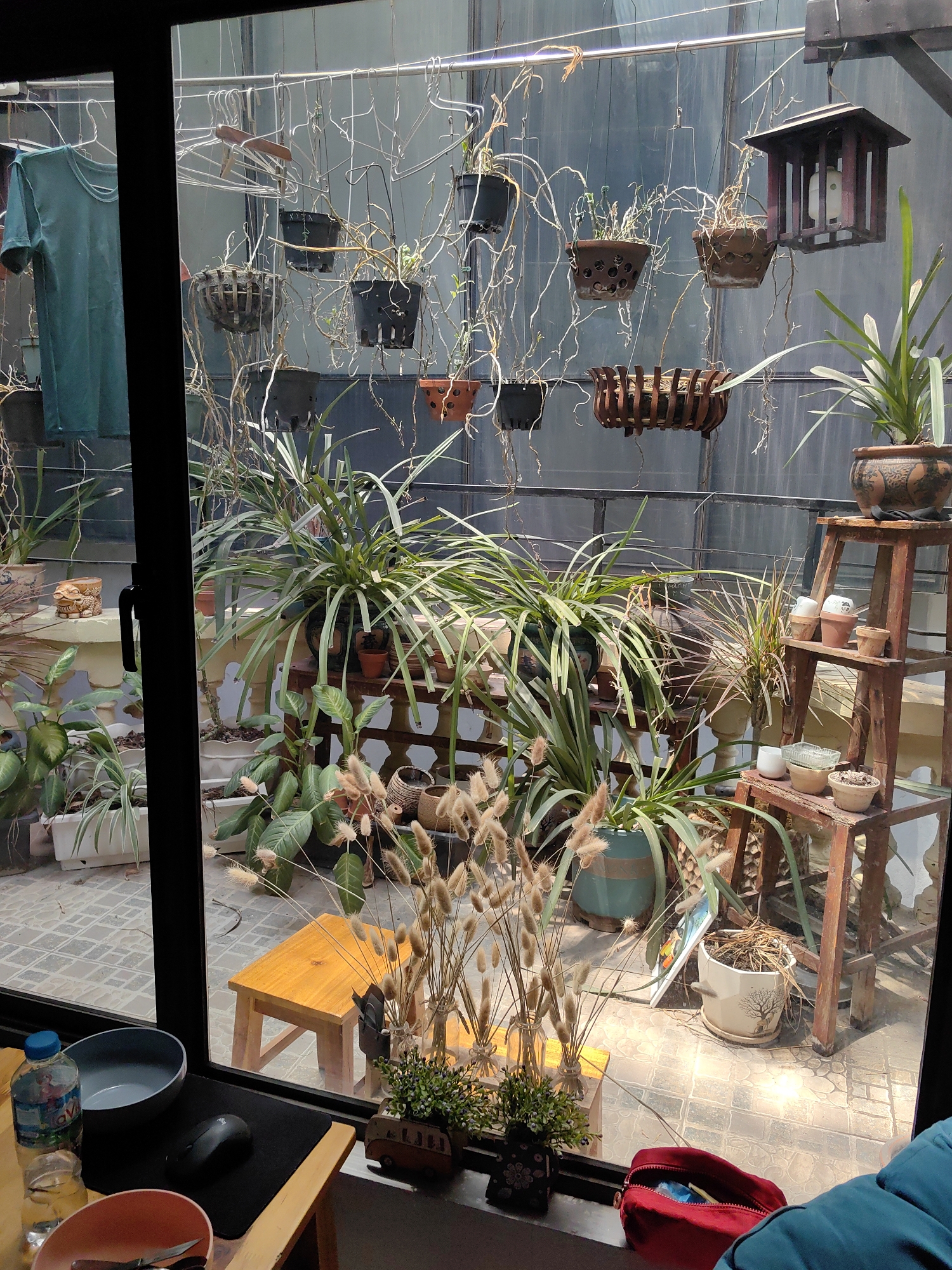 View from inside a building in Hà Nội, Vietnam, looking out onto a small courtyard. Various potted plants are visible, both on the ground and hanging from above, attached to a metal grid or clotheslines. A small wooden stool sits in the center of the courtyard. A wooden ladder holds smaller potted plants. Inside, on a table in the foreground, are a water bottle, bowl, mouse, plate with utensils, and decorative items. A red bag sits on a ledge in the lower right corner. A green T-shirt hangs in the background. The courtyard has a tiled floor and is partially enclosed by a grey wall or screen.