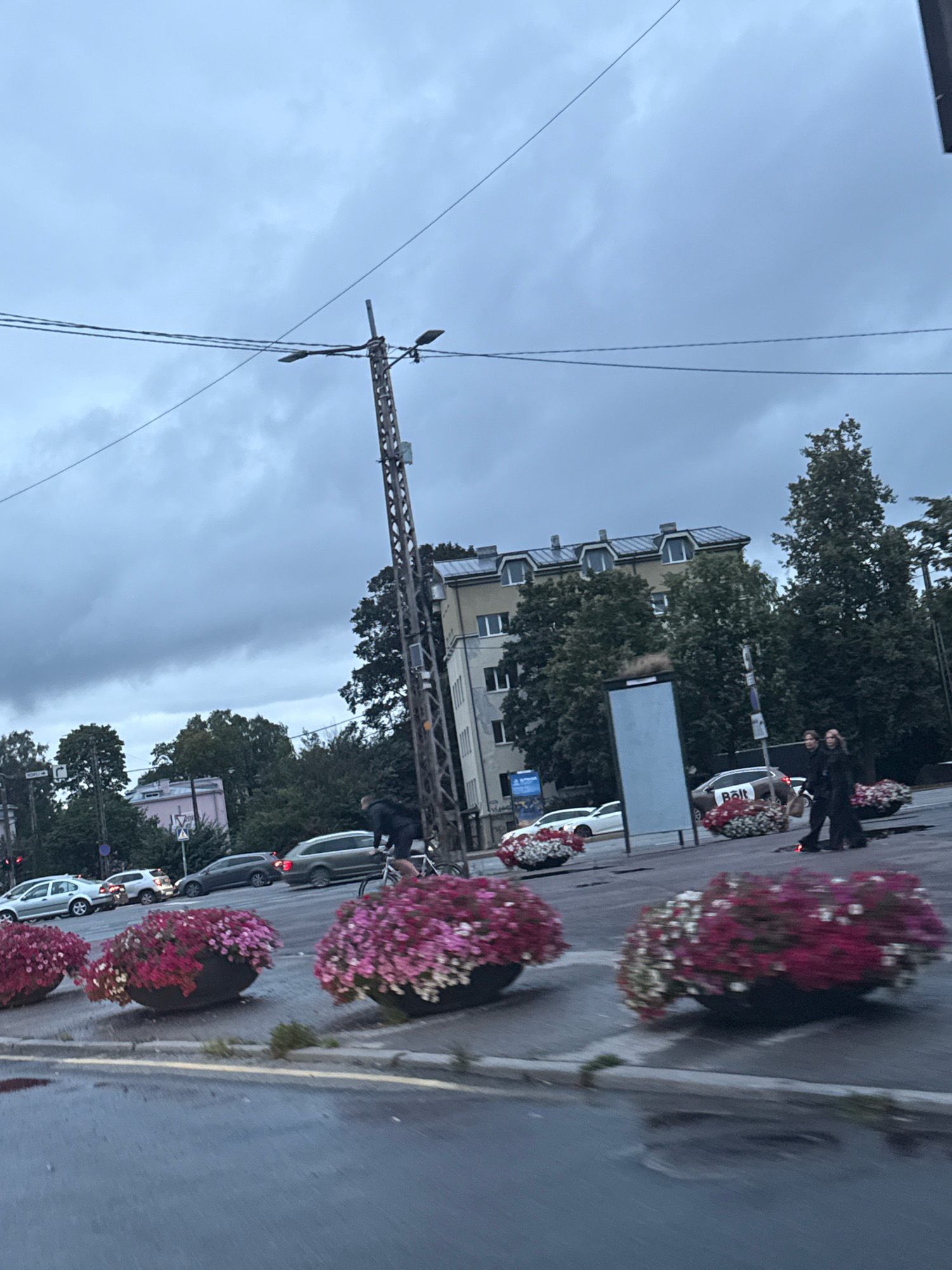 The image shows a street scene in Tallinn, Estonia, on a cloudy day. In the foreground, there are several large planters filled with pink and white flowers. The street is wet, suggesting it has recently rained or is about to. On the street, there are several cars, including a white car, a dark grey SUV, and a car with a "Bolt" logo on it. A person is riding a bicycle on the street, and two people are walking on the sidewalk. In the background, there is a multi-story building with several windows and a gray roof. Trees are visible behind the building and along the street. A tall lamppost with multiple lights and wires is also present.