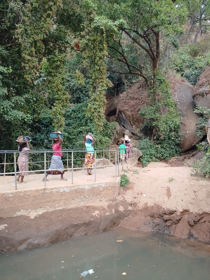 The image captures an outdoor scene featuring a group of individuals, predominantly women, traversing a concrete pathway in a natural environment.
In the foreground, a murky body of water, possibly a pond or a section of a river, occupies the bottom portion of the frame. Visible within this water are pieces of litter, including plastic bags and other debris. Above the water, a raised concrete walkway with a silver metal railing extends from the left side of the image towards the right, curving slightly upwards.
Several people are walking on this pathway, moving from left to right. There are at least five individuals visible, and they are all carrying baskets or containers balanced on their heads. The individuals are dressed in everyday clothing; for example, the person second from the left wears a pink top and a patterned skirt, while the one to their right wears a light blue top and a distinctively patterned skirt. Their posture indicates they are accustomed to carrying loads in this manner.
The background is dominated by lush green vegetation, consisting of numerous trees and dense foliage, including vines hanging down, particularly on the left side of the frame. Large, weathered rock formations and boulders are prominent on the right side and in the deeper background, suggesting a hilly or rocky landscape. The ground adjacent to the pathway on the right is a dirt or sandy bank.
The lighting suggests it is daytime, likely during clear weather, as there are no strong shadows or overcast conditions. The overall impression is one of daily activity in a natural, somewhat rugged setting, possibly in a rural or semi-rural area where head-carrying is a common mode of transport. No discernible text is visible in the image.