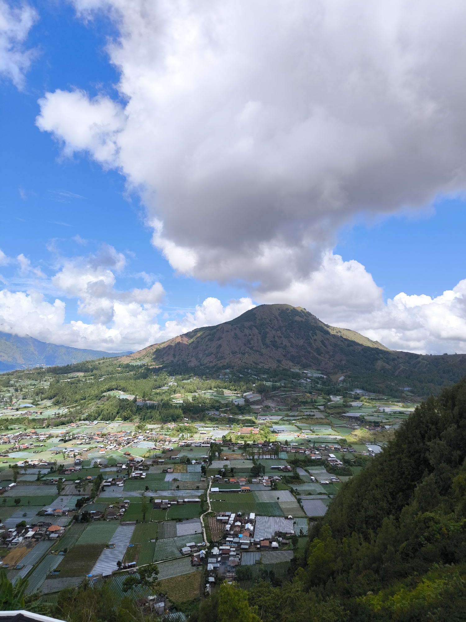 The image shows an elevated view of the landscape in Kintamani, Indonesia. In the foreground, dense green vegetation is visible. Descending from the viewpoint, the landscape reveals a grid of agricultural fields interspersed with settlements. Buildings with red and blue roofs are scattered amongst the green plots. A prominent mountain, covered in vegetation and patches of bare earth, rises in the mid-ground. Above it, a sky with scattered cumulus clouds dominates the upper portion of the image. The day appears bright with clear blue sky visible between the clouds.