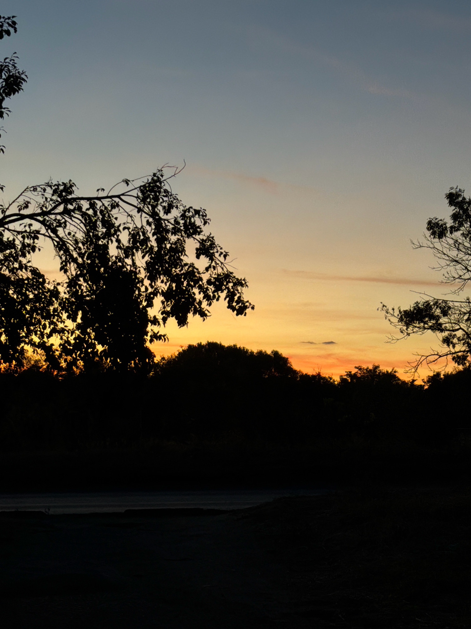 A silhouetted treeline and sky at dusk frame a dark foreground. The sky is a gradient of pale blue at the top, transitioning to yellow and orange near the horizon, with faint clouds. Silhouetted tree branches with leaves overhang the scene from the left, and bare branches are visible on the right. The middle ground is a dark mass of trees and vegetation, with a suggestion of a road or open area in front of it. The foreground is entirely dark, obscuring any details. The image does not contain any discernible features that would indicate a specific location within Sofia, Bulgaria.