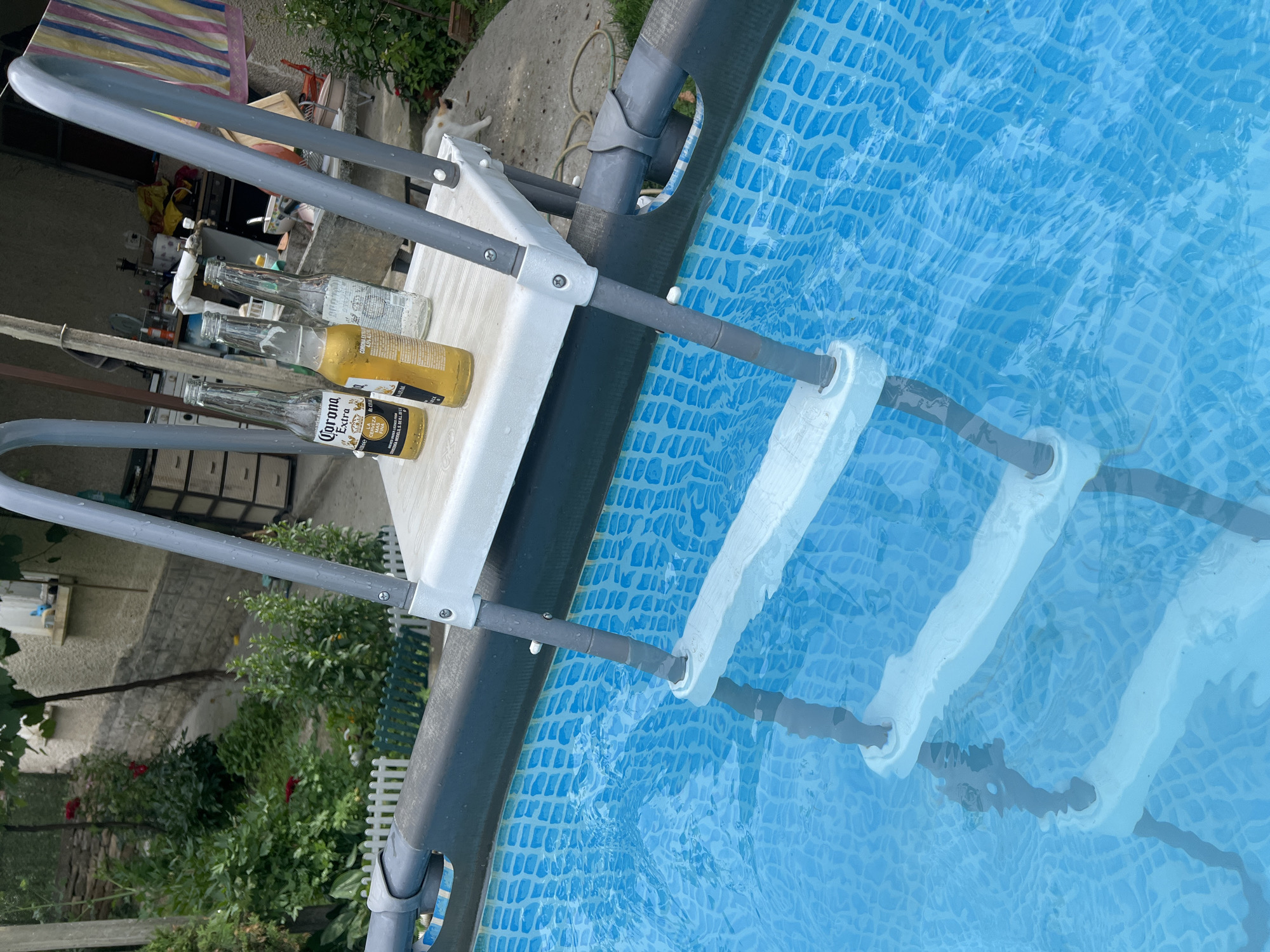 The image depicts an outdoor scene, likely a backyard, featuring an above-ground swimming pool with a ladder. On the top platform of the ladder, three glass bottles are placed: two Corona Extra beer bottles and one clear bottle containing a clear liquid. The pool is filled with blue water, and the ladder has white steps submerged in the water. In the background, a garden area with greenery and red flowers is visible, along with a building and some outdoor furniture. The overall setting suggests a leisurely, warm-weather environment. No specific location in the city of Roman, Bulgaria can be determined from the image.