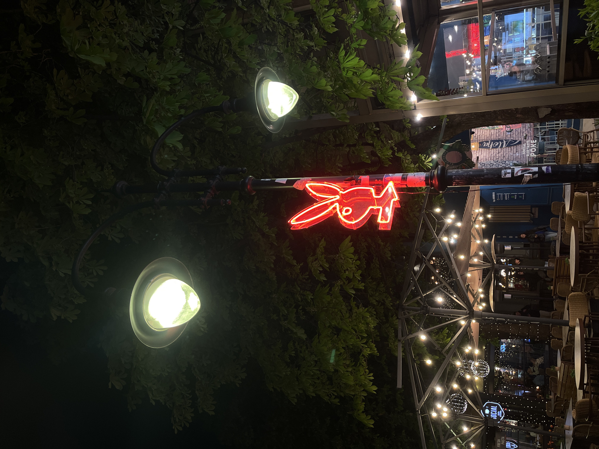 This night-time image, rotated 90 degrees counter-clockwise, depicts a lively outdoor dining or bar area.
A prominent black lamppost stands vertically in the mid-ground, featuring two illuminated, conical light fixtures that emit a warm, yellowish-white glow. Attached to the lamppost is a bright red neon sign shaped like a stylized rabbit head.
The background to the right reveals an outdoor seating area furnished with wicker chairs and tables, suggesting a restaurant or cafe. This area is covered by an open, metal-framed structure from which numerous string lights with exposed bulbs are strung, casting a festive ambiance.
Behind the seating area, a building facade with a large window reflects interior lights and elements from across the street. Below this window, a brick wall displays several signs. Visible text includes "Aloha" on a surfboard-shaped sign, followed by "SOCIAL GOOD TASTE POKE." Further into the background, other signs are partially visible, including one that reads "FRESH PASTA" and another round sign that appears to say "WEIRD."
The scene is dark, typical of night, with the artificial lights providing the main illumination. Lush, dark green foliage borders the left side of the frame. The overall atmosphere is inviting and characteristic of an urban evening setting.