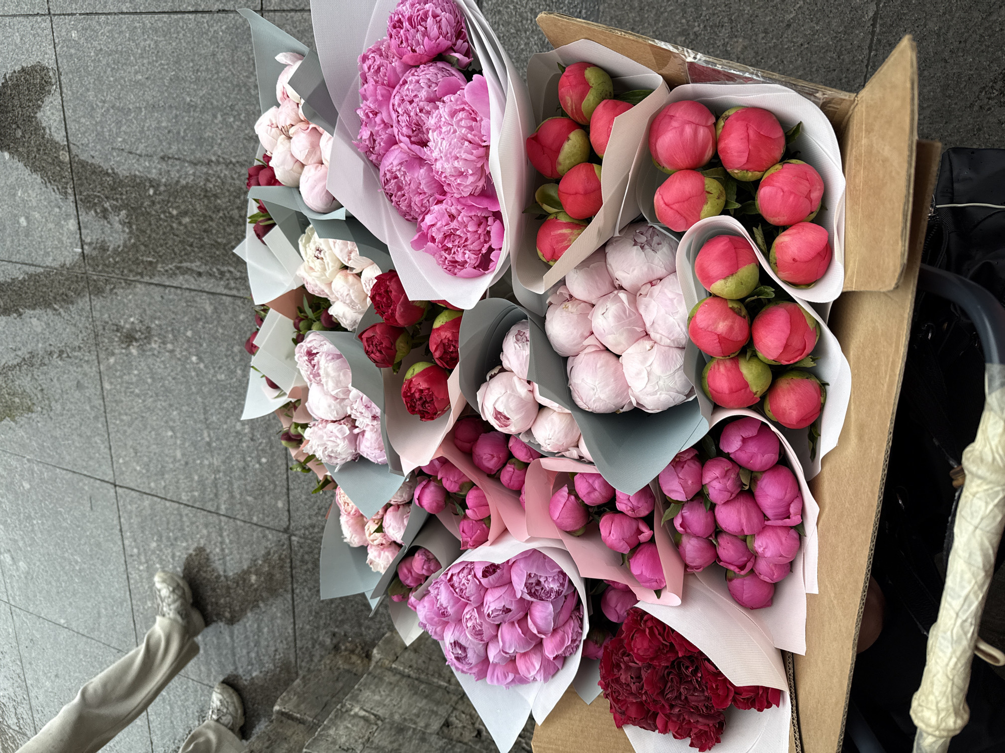 A high-angle shot captures an assortment of flower bouquets on a city sidewalk, with a section of a person's lower body visible. The flowers are predominantly peonies, arranged in various colors including pink, white, and deep red. Some bouquets are fully bloomed, while others show buds. They are wrapped in white paper and light gray or pink tissue.
The bouquets are positioned near a cardboard box, seemingly for transport or storage. The box is partly visible, with a glimpse of a black object and a white, textured object beside it. The sidewalk is made of gray tiles, showing signs of moisture or recent cleaning. A person wearing light-colored pants and patterned shoes is standing next to the flowers on the left side.
The scene is set outdoors, likely on a street or market area in a city, given the paved surface and collection of items. No definitive elements suggest the location is Saint Petersburg.