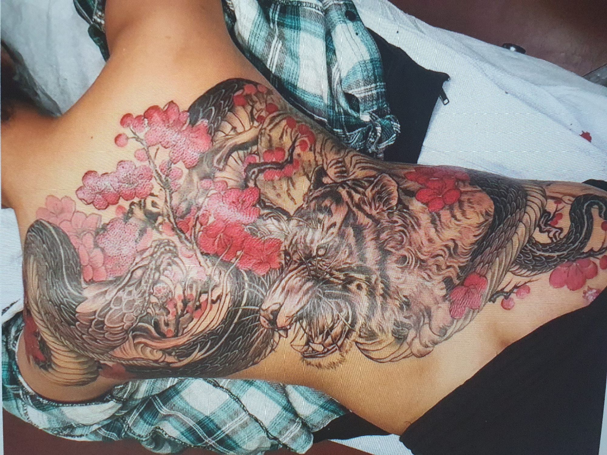 The image shows a detailed tattoo on a person's back. The tattoo features a dragon intertwined with cherry blossoms and a tiger's face. The person is lying down, partially covered by a plaid shirt. The background appears to be a white surface, possibly a bed or a massage table. There is no indication of the location being Tashkent, Uzbekistan.