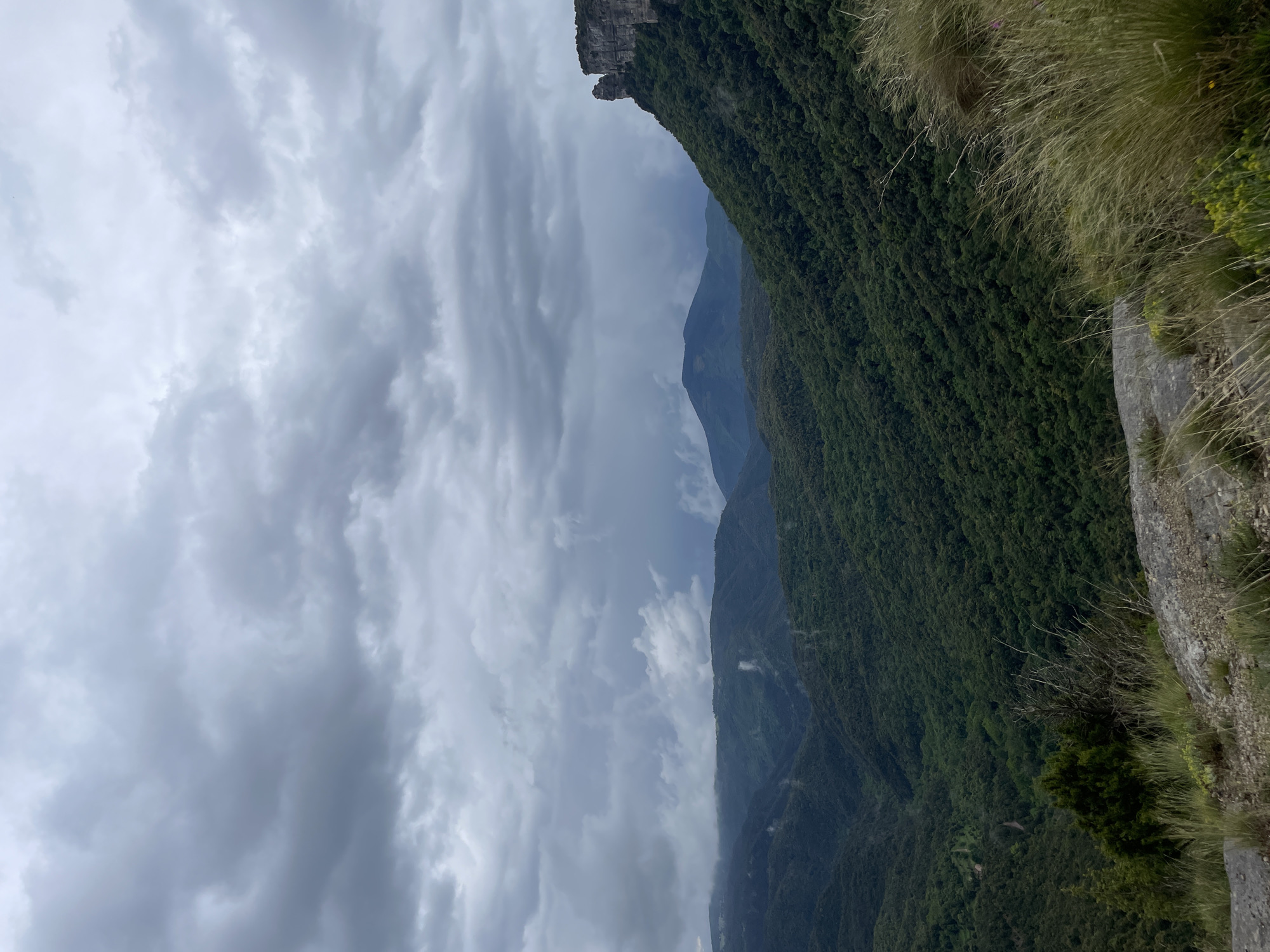 From a high vantage point, the image captures a view of the natural landscape surrounding Rupit i Pruit, Spain. A steep, green mountainside densely covered with trees dominates the right side of the frame, with glimpses of other mountain peaks in the distance, partially obscured by mist or low clouds. The foreground shows grass and rocks, suggesting a cliff edge. The sky, filled with heavy, gray clouds, takes up the left portion of the image, indicating overcast conditions. The overall impression is one of height and a vast, somewhat remote landscape.