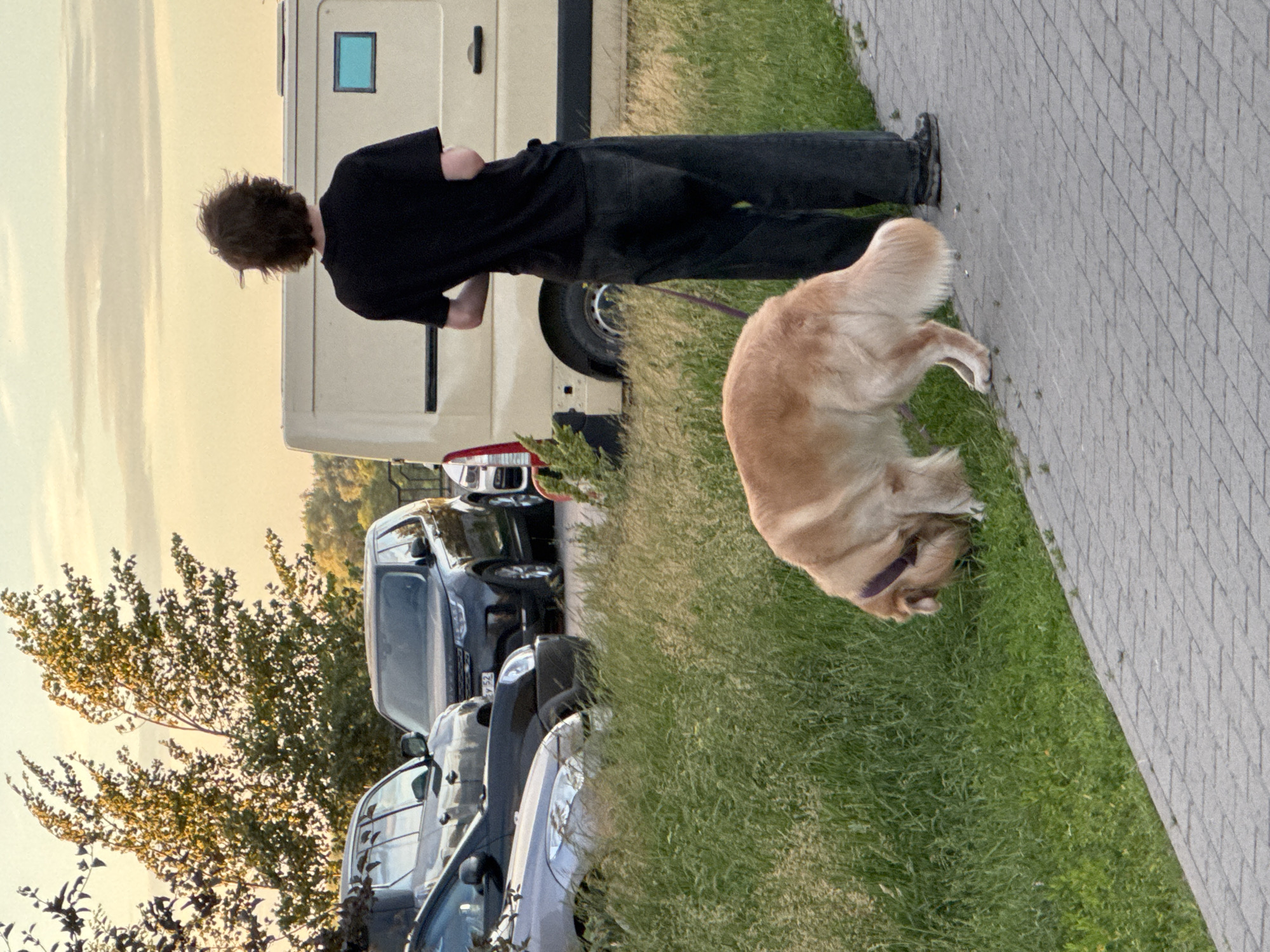 The image shows a person standing next to a light-colored van, with a golden retriever dog on a leash. The person is wearing a black t-shirt and dark pants, and has curly brown hair. The dog is facing away from the camera, with its head down as if sniffing the ground. The scene appears to be an outdoor parking area, with several cars parked in the background. There is a paved walkway next to a grassy area where the dog is. Trees with green and yellow foliage are visible behind the cars, suggesting it might be autumn. The sky is a pale yellow or orange, indicating either sunrise or sunset. The overall impression is a casual moment outdoors with a pet. The location is specified as Nizhny Novgorod, Russia. There is no visible text in the image.