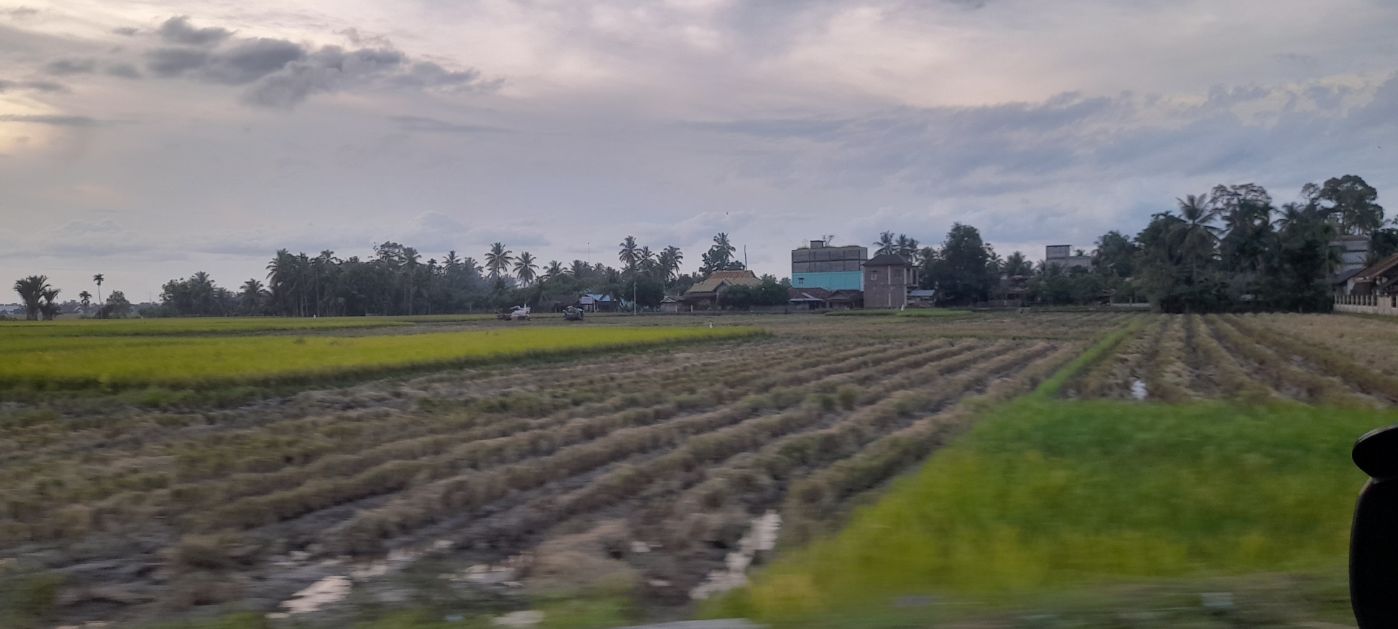 The image shows a landscape of rice paddies in Bateiiliek, Indonesia under a cloudy sky. The paddies are divided into sections: some are green with growing rice, while others have been harvested, leaving dry stalks. There are trees, including coconut palms, and buildings in the background. Two small tractors are visible in the far field, while the foreground shows the edge of the vehicle from which the photo was taken.