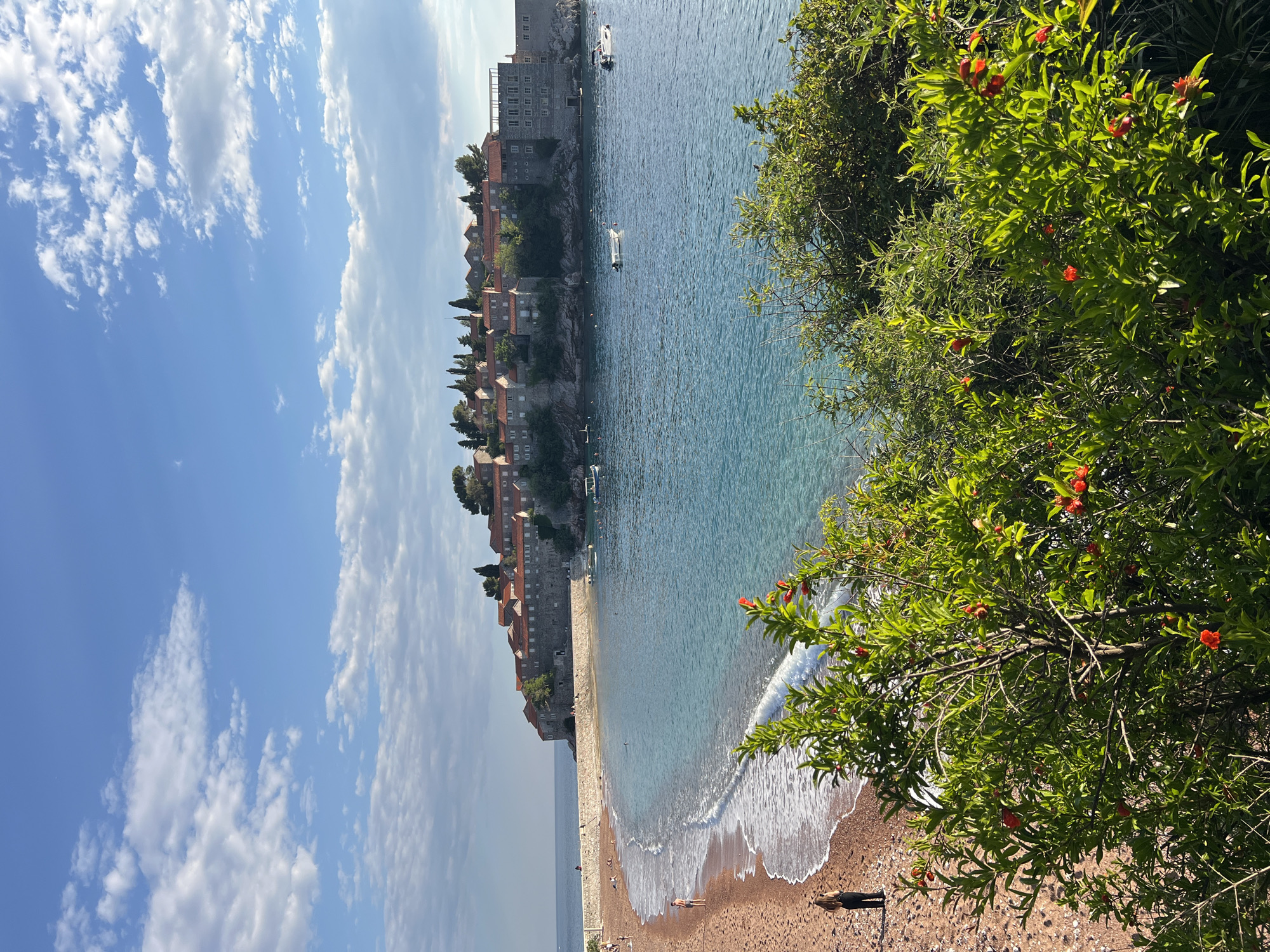 The image depicts the coastal town of Sveti Stefan in Montenegro on a sunny day. The sky is blue with scattered white clouds. Sveti Stefan, a fortified island connected to the mainland by a narrow isthmus, is visible with its cluster of buildings with red-tiled roofs. The Adriatic Sea is a turquoise color, with gentle waves lapping against the shore. A beach stretches along the isthmus, where a few people are present. Lush green vegetation, possibly flowering trees or bushes, overhangs the beach on the right side of the image. A person is standing on the beach. Boats are docked in the water near Sveti Stefan.