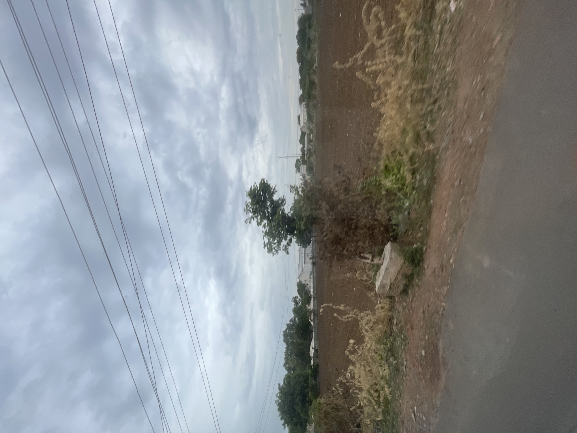 The image depicts a rural landscape in Bethamcherla, India, under a cloudy sky. In the foreground, a paved road is visible on the left, bordering a brown, tilled field. Sparse, dry vegetation lines the edge of the field, with a large, light-colored stone resting near the center. A lone, somewhat bare tree stands in the middle of the field, with more lush green trees forming a line in the background. Beyond the trees, several low-rise buildings, possibly industrial or residential, are scattered across the horizon. Overhead, multiple power lines crisscross the sky. The overall impression is one of an overcast day in a semi-agricultural area.