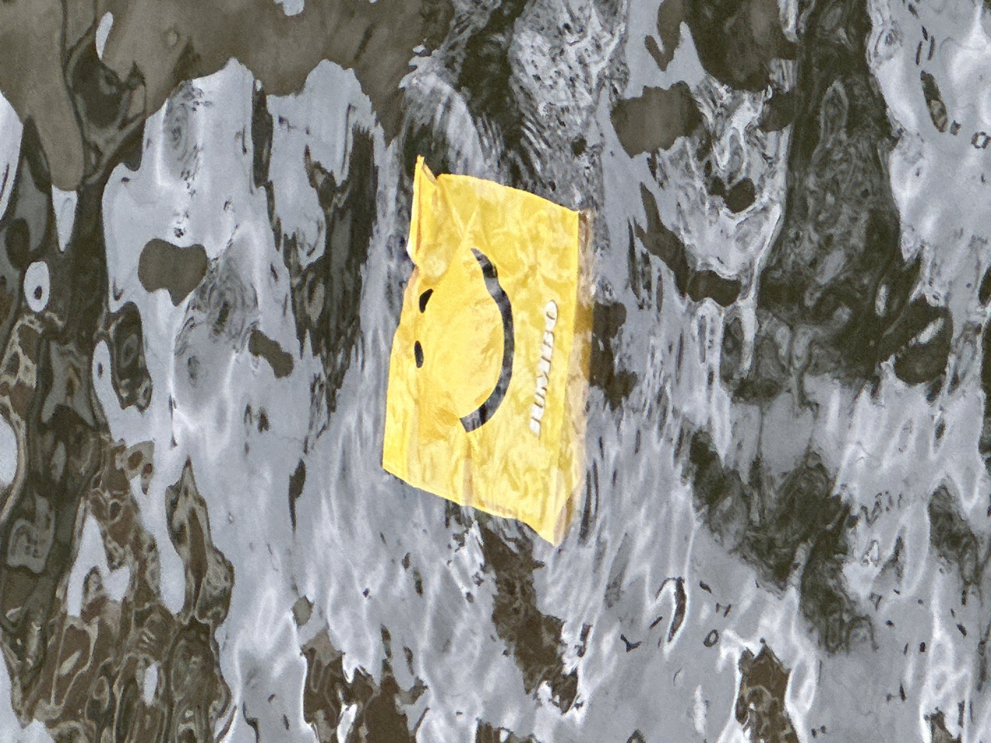 A yellow plastic bag with a smiley face printed on it floats in murky water. The bag is folded over and appears to be empty. The water's surface is disturbed by ripples, reflecting the cloudy sky and surrounding environment, which suggests an outdoor setting. The scene is devoid of any human presence or activity. The location is identified as Amsterdam, Netherlands.