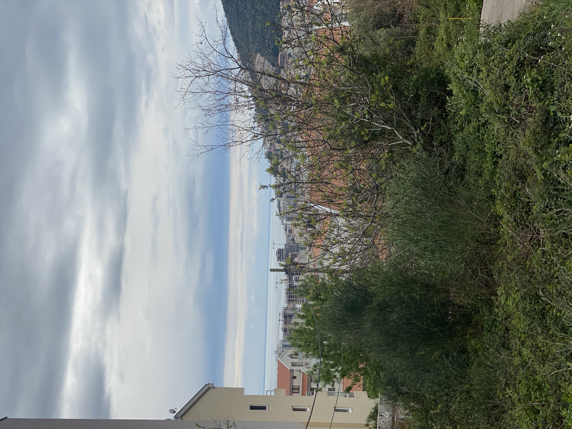 View overlooking Budva, Montenegro from an elevated position. Visible are buildings with red-tiled roofs, the Adriatic Sea, cloudy sky, and green foliage. A construction crane is seen among the buildings. The image is taken through a tree. The image is rotated ninety degrees counter clockwise.