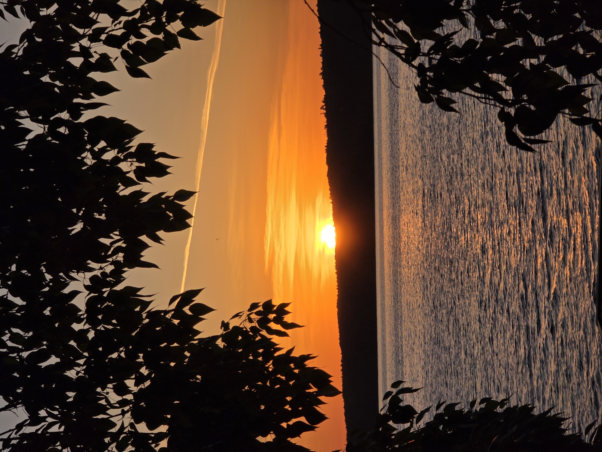 The image shows a sunset over water, framed by tree branches in silhouette. The sun is setting on the horizon, causing an orange glow in the sky. A thin white cloud is visible in the sky. The right side of the image has water reflecting the sunset colors. A dark, vertical land mass separates the sunset from the water. The location is Chaikovsky, Russia.
