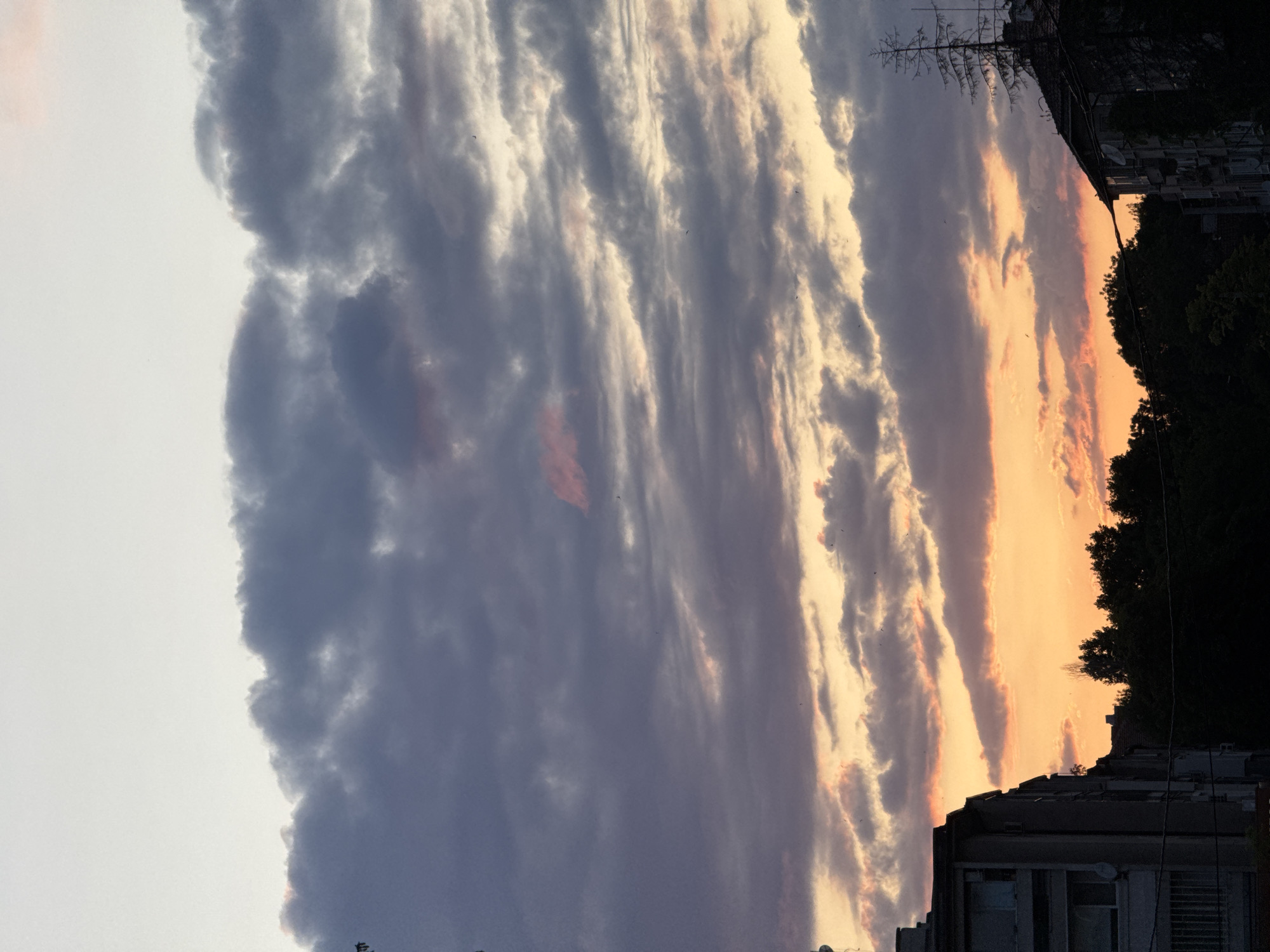 The image shows a dramatic sunset over Sofia, Bulgaria. Dark gray and purple clouds fill the sky, with streaks of orange and pink light breaking through. The sun is setting behind a line of trees, silhouetting them against the colorful sky. In the foreground, the upper floors of apartment buildings are visible. One building on the left is a light gray concrete structure with many windows, some covered by shutters. Another building on the right is partially obscured by a tall, bare tree. The overall impression is one of a city preparing for evening under a vibrant, stormy sky.