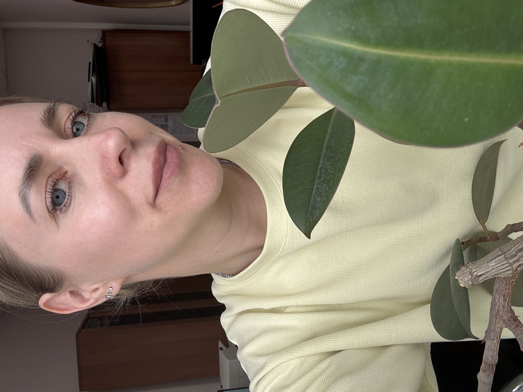 An indoor portrait features a light-skinned woman, appearing to be in her 20s or 30s, looking directly at the camera with a neutral and calm expression. She has blue eyes, light hair, and is wearing a light yellow, textured long-sleeved top. Her visible right ear has a tragus piercing and a small hoop earring adorned with stones.
A large, healthy houseplant, likely a Ficus elastica (rubber plant), is prominently positioned in the foreground and to the right, partially obscuring the woman's torso and the background. It displays broad, dark green leaves, some showing subtle reddish edges or veins, and visible woody branches.
The background reveals a warm, domestic setting with dark wooden furniture, possibly a cabinet or dresser, suggesting a home interior. The lighting appears natural, indicating the photo was taken during the daytime. The overall mood is relaxed and casual. No visible text is present in the image. The location context for this scene is Chaikovsky, Russia.