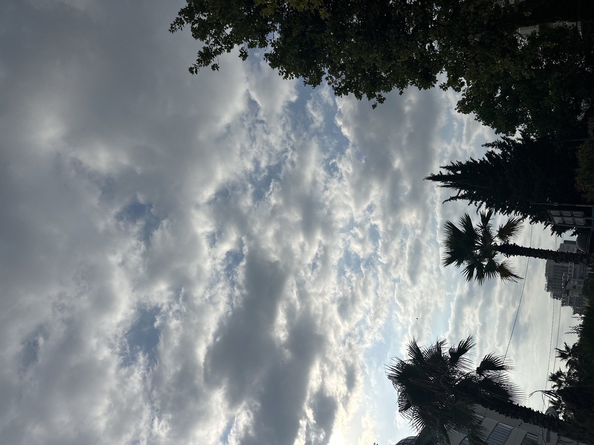 A photograph captures a sky filled with scattered clouds, with patches of blue visible between them. Silhouettes of palm trees and other trees are present in the foreground, with buildings visible in the background. The overall scene suggests an urban environment with greenery. The location is the city of Sochi, Russia.