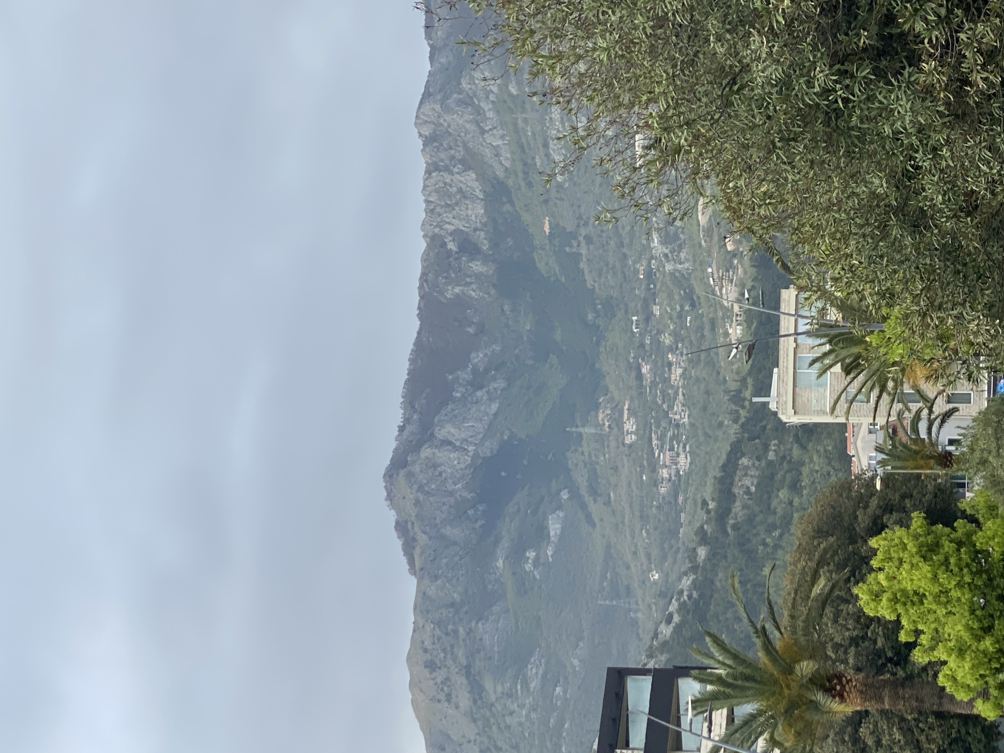 The image captures a mountainous landscape with urban development in Budva, Montenegro. A large, rocky mountain covered in vegetation dominates the scene, partially obscured by mist or haze near its peak. The sky is overcast. On the right side, buildings are visible amidst the trees, including structures with modern architectural elements such as large windows and geometric shapes. Palm trees and other greenery are interspersed with the built environment. Power lines are strung across the view. The overall impression is one of a settlement nestled against a dramatic natural backdrop.