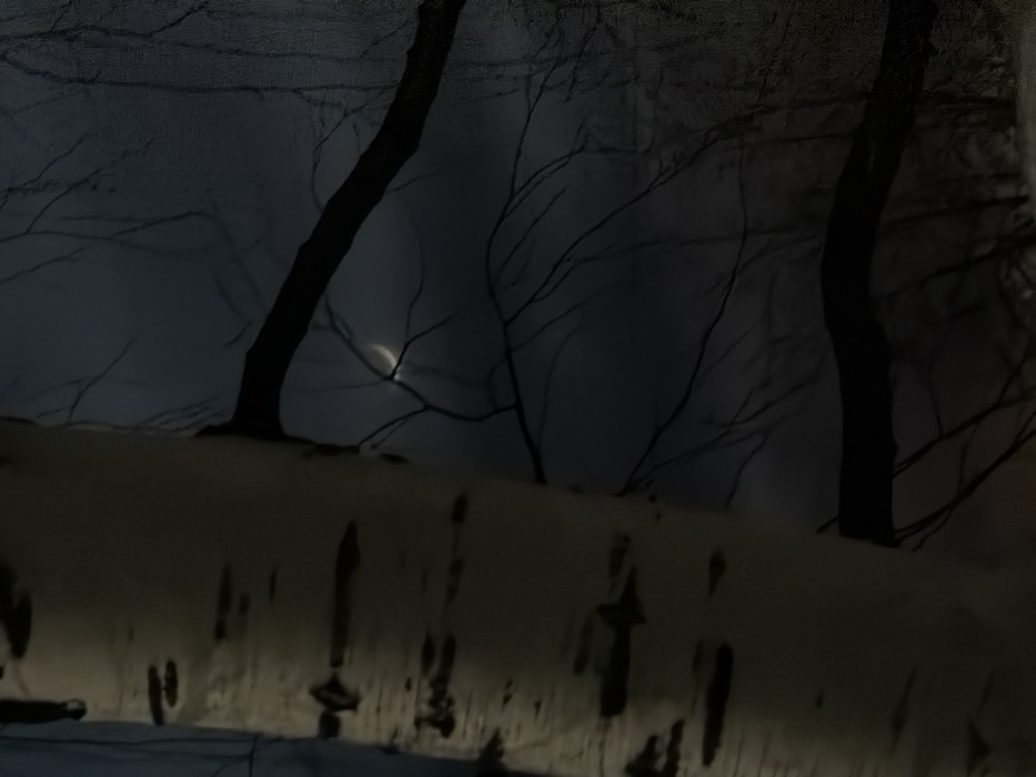 This image depicts a nighttime or dusk scene in Chaikovsky, Russia, characterized by a natural winter environment. A prominent, vertical birch tree trunk with white bark and dark horizontal markings occupies the left side of the frame. To its right, a dense network of dark, bare tree branches is silhouetted against a dark blue-gray sky. A slender crescent moon is visible in the upper right quadrant, partially obscured by these branches. The ground below the trees appears light-colored, consistent with snow cover. No individuals or man-made structures are discernible. The overall scene suggests a cold, tranquil, outdoor setting, likely a forest edge or park.