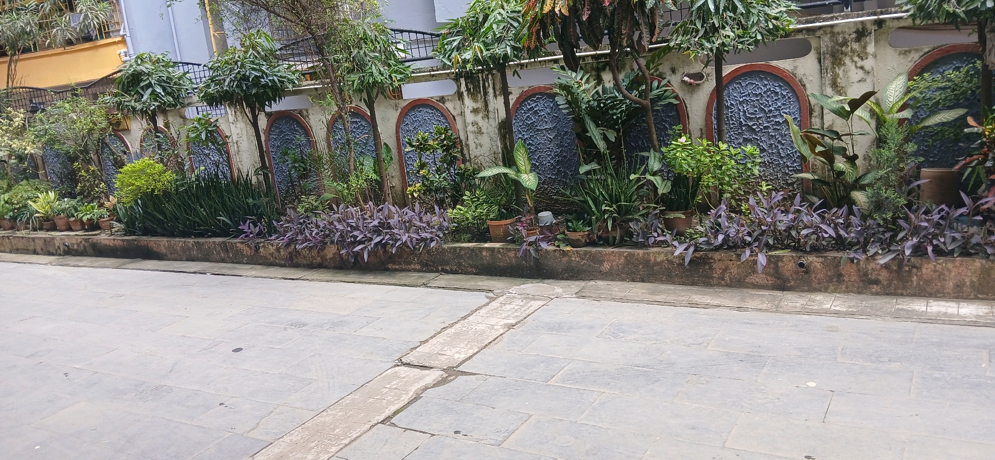 The image shows a street scene in Rajpur Sonarpur, India, featuring a weathered, textured wall with arched, decorative panels. The wall is adorned with an assortment of potted plants and various species of greenery, creating a lush, natural barrier. Among the plants are tall, leafy trees and smaller bushes, interspersed with vibrant purple flowering plants at the base of the wall. The ground in front of the wall is paved with large, grey stone tiles. A raised, concrete pathway or curb runs along the base of the wall. The overall impression is one of a well-maintained, urban garden area. There are no people visible in the image.