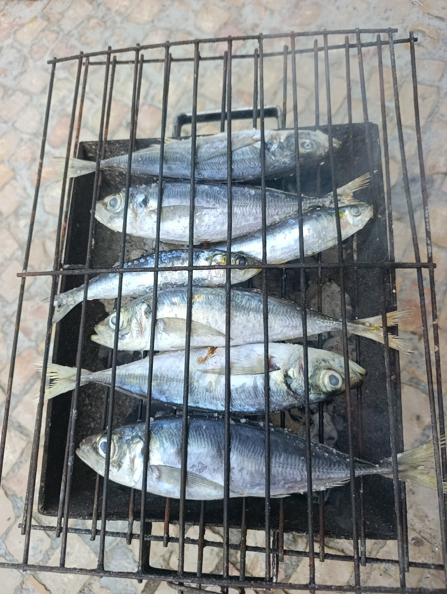 Six whole sardines are laid side-by-side on a dark metal grill, which is placed over what appears to be a barbecue pit. The fish are oriented horizontally, heads facing left and tails to the right, with their silvery scales visible. The grill itself has a rectangular base with vertical bars forming the cooking surface. The background consists of a tiled patio with a pattern of beige and brown squares, suggesting an outdoor setting. The scene is captured from a top-down perspective. This scene is consistent with the preparation of grilled sardines, a popular dish in Setúbal, Portugal.