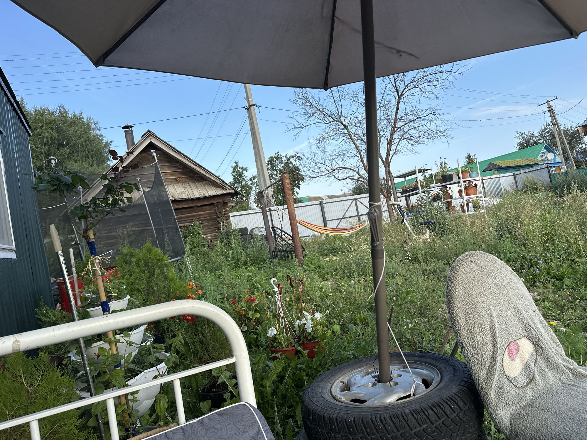 The image depicts a cluttered backyard scene under a clear blue sky, likely in a rural or semi-rural area of Улля, Russia. In the foreground, a gray umbrella is partially open, casting a shadow. To the left, a white metal railing of a piece of furniture is visible, with a dark cushion on it. A car tire with a silver rim rests on the ground to the right, with a light gray plush slipper placed on top of it.
Behind the foreground elements, the yard is filled with overgrown green grass and various plants. Several potted flowers, including white and orange ones, are arranged in the midground. A wooden structure, possibly a small house or shed, with a dark roof and a visible chimney, stands to the left. A tall, bare tree with thin branches is located behind the umbrella. In the distance, a white fence borders the property, and beyond that, a few residential buildings with colorful roofs, including one with a bright green roof, are visible. Power lines are strung across the sky. The overall impression is one of a lived-in, somewhat unkempt outdoor space.