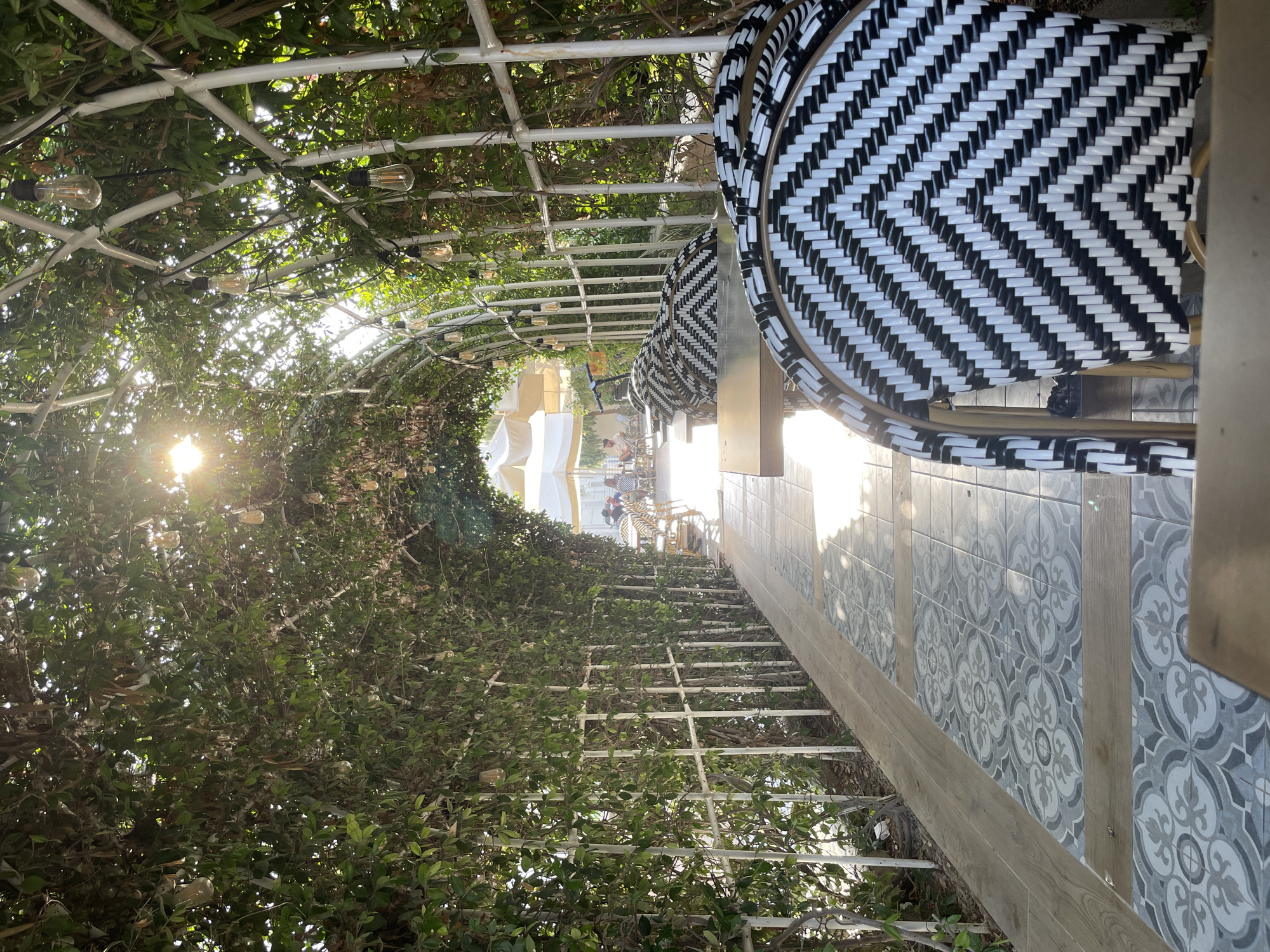 This image depicts an outdoor seating area, likely a cafe or restaurant, in Trikomo, Northern Cyprus. The scene is characterized by a lush green archway formed by dense foliage, with decorative string lights hanging overhead. Sunlight streams through the leaves, creating dappled patterns on the tiled walkway. White metal trellises line the walkway, supporting the greenery.

In the foreground, several black and white patterned chairs with woven seats and backs are visible, pulled up to wooden tables. Further into the scene, other tables and chairs are arranged under large white umbrellas, suggesting a dining or lounging area. A few patrons are seated at these tables in the background. The overall atmosphere is tranquil and inviting, with the natural greenery and sunlight contributing to a pleasant outdoor ambiance.