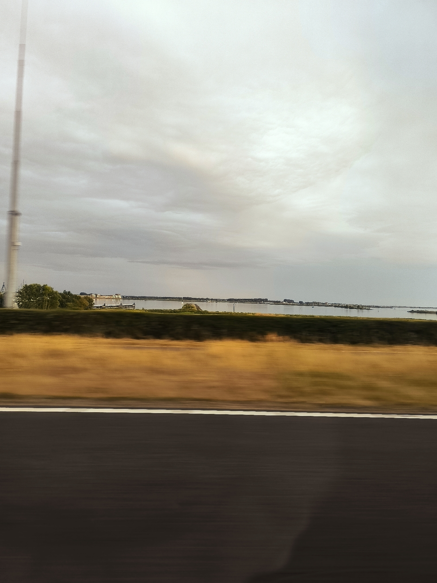 The image depicts a blurred, motion-effect view from a vehicle traveling along a road in Lelystad, Netherlands. In the foreground, a dark asphalt road with a white line is visible, suggesting it is a highway or main thoroughfare. Beyond the road, a blurry band of golden-brown vegetation, likely dry grass or fields, stretches across the mid-ground. Further in the distance, a body of water, possibly the IJsselmeer or a connected canal system, is present, with a low-lying coastline dotted with trees and buildings. The sky is overcast with muted, grey clouds, creating a diffused light. A tall, slender pole, likely a light post or utility pole, is positioned on the far left of the image, partially obscured by the motion blur. The overall impression is one of a journey through a semi-rural or coastal landscape on an overcast day.