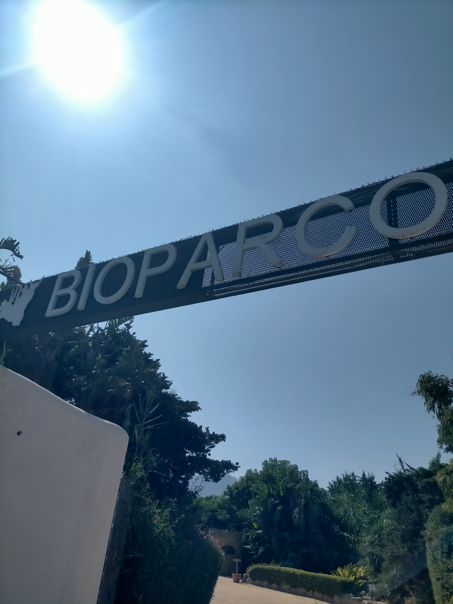 A low-angle, medium shot captures a sign that reads "BIOPARCO" in large white lettering against a clear blue sky. The sign appears to be mounted on a dark, mesh-like structure. To the left of the sign, a bright sun is visible, casting a lens flare. Below the sign, lush green trees and foliage create a dense canopy. A portion of a white curved wall is visible in the lower left corner of the frame, and in the background, a pathway is lined with hedges and more trees, suggesting an outdoor park or garden setting. The overall impression is of a sunny day in a natural or recreational area.