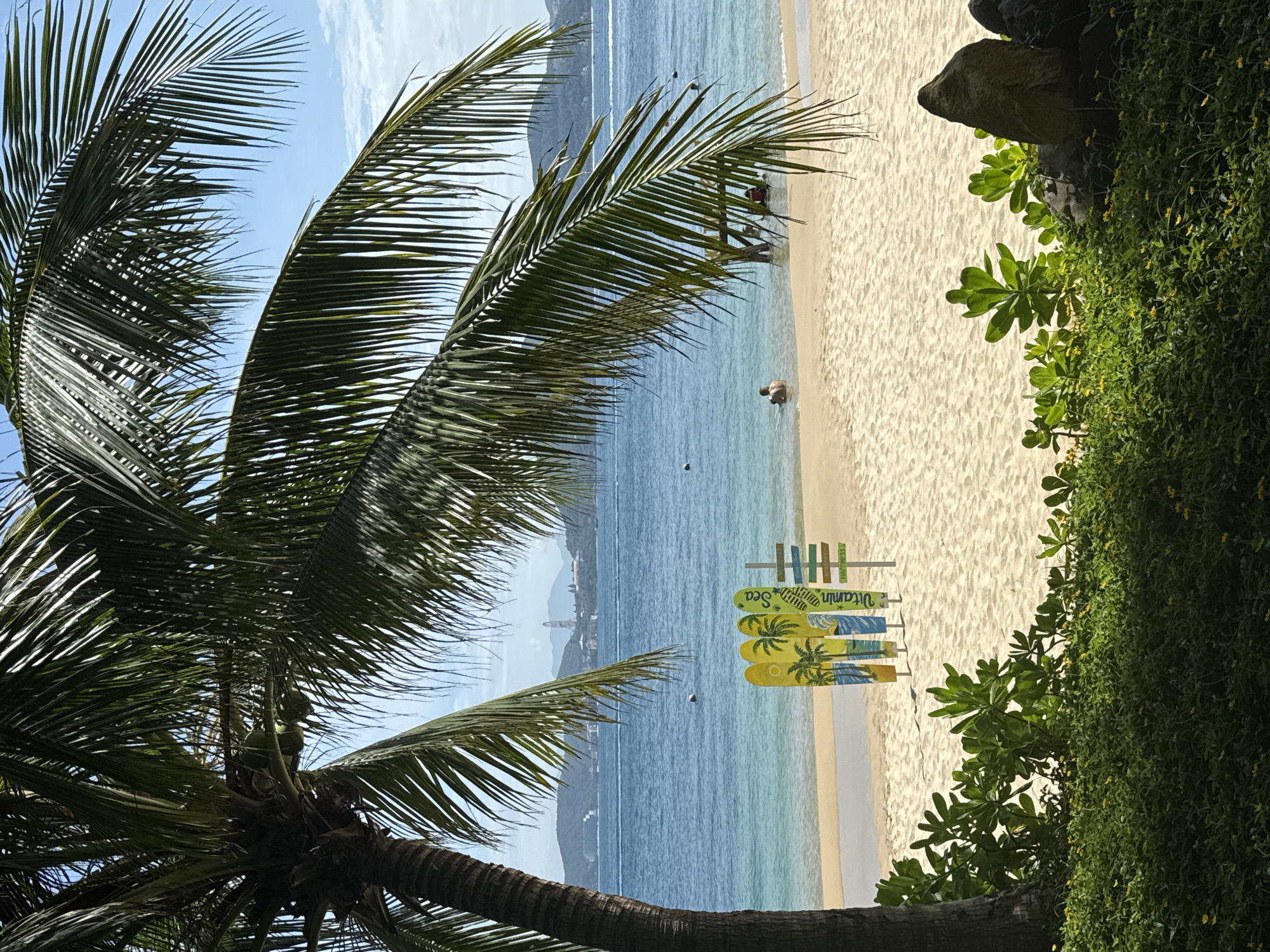 The image captures a beach scene in Nha Trang Ward, Vietnam. The foreground is framed by a large palm tree on the left and dense green foliage on the right, obscuring parts of the view. The beach is sandy and light in color. In the water, a person is wading. Several surfboard-shaped signs with the words "Vitamin Sea" are near the water's edge. In the background, across the water, are hills or mountains. The sky is light blue with some clouds.