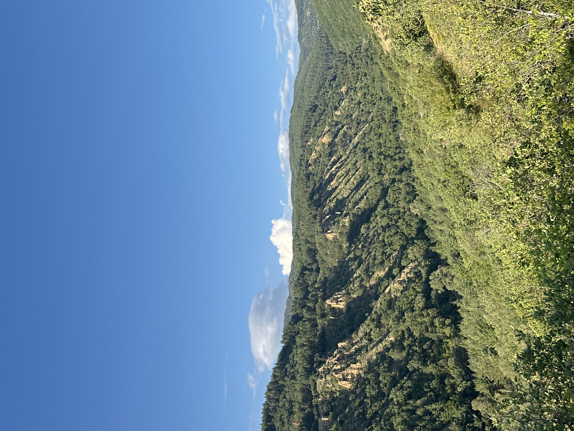 The image depicts a panoramic view of the Stob Pyramids geological phenomenon located near the village of Stob, in Kyustendil Province, Bulgaria, under a clear blue sky. The scene is dominated by undulating, heavily forested hills and valleys.
The upper portion of the frame features a vibrant, unblemished blue sky, with a few scattered white cumulus clouds, one large, horizontally elongated cloud formation prominent in the upper-middle left, and smaller, wispy clouds near the horizon on the right.
The mid-ground and foreground are characterized by steep, green slopes densely covered with a mix of coniferous and deciduous trees, appearing lush and vibrant in direct sunlight. Interspersed within these wooded slopes are several distinct, eroded sandstone formations, characteristic of the Stob Pyramids. These formations appear as bare, reddish-brown, conical, or pillar-like structures, with sharply defined shadows indicating strong sunlight from the left. Their exposed faces contrast with the surrounding dense green vegetation. The overall topography suggests a rugged, natural landscape with significant geological erosion. No human activity, structures, or individuals are visible within the frame.