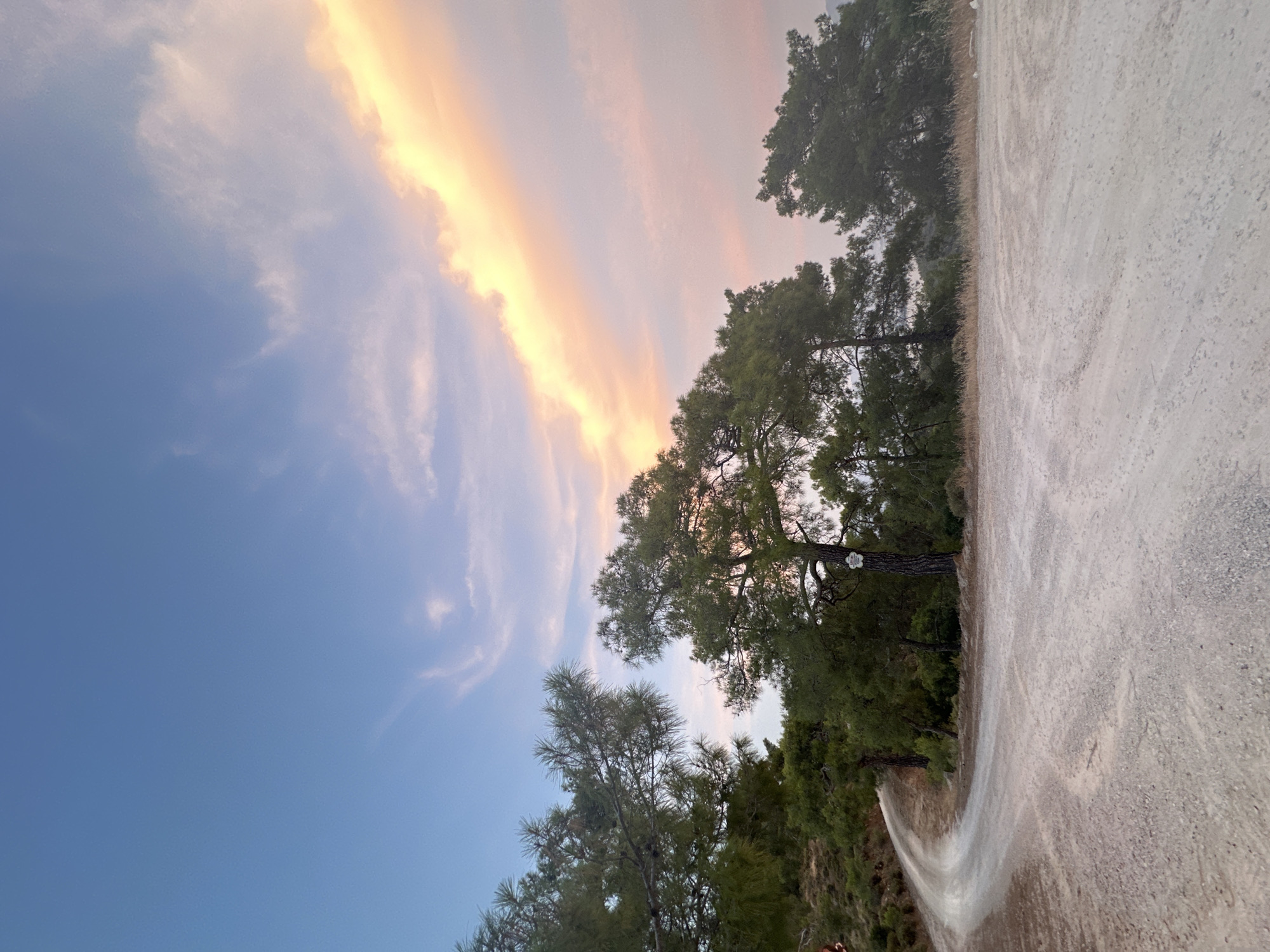 The image depicts a winding dirt road curving through a grove of pine trees. The road surface is composed of gravel and dirt. The trees are lush and green, with some appearing to be older and more substantial than others. In the background, a hazy landscape is visible beyond the trees. The sky above is a gradient of blue, with wispy clouds tinged with the warm hues of sunset, suggesting the scene is set in the late afternoon or early evening. One of the larger trees has a small, white sign attached to its trunk, but the text is illegible. This scene is likely located in the outskirts or natural areas surrounding Fethiye, Turkey, possibly on a hillside or elevated terrain, given the natural landscape and the sweeping view. There are no people or animals visible in the image.