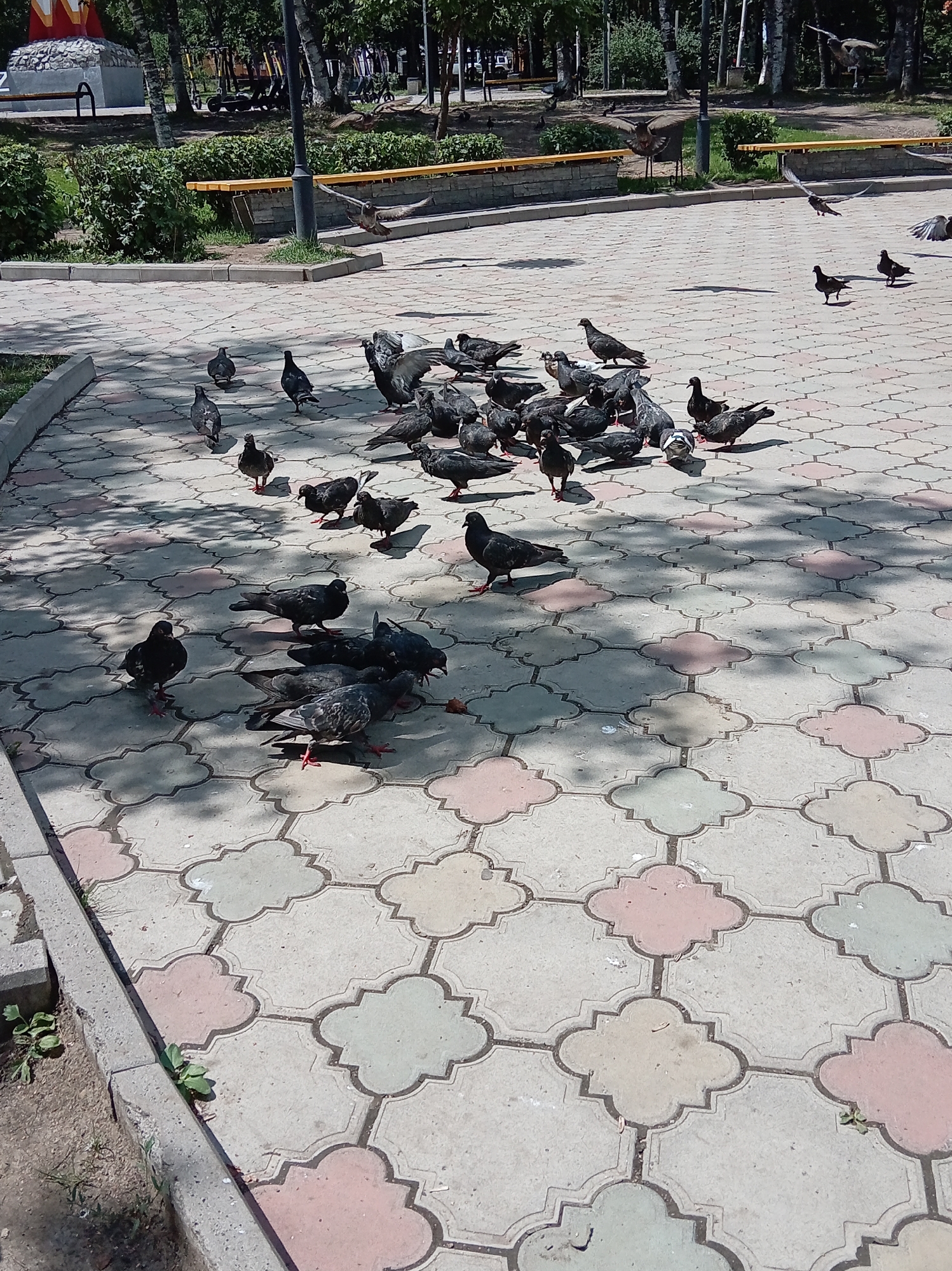 Memory