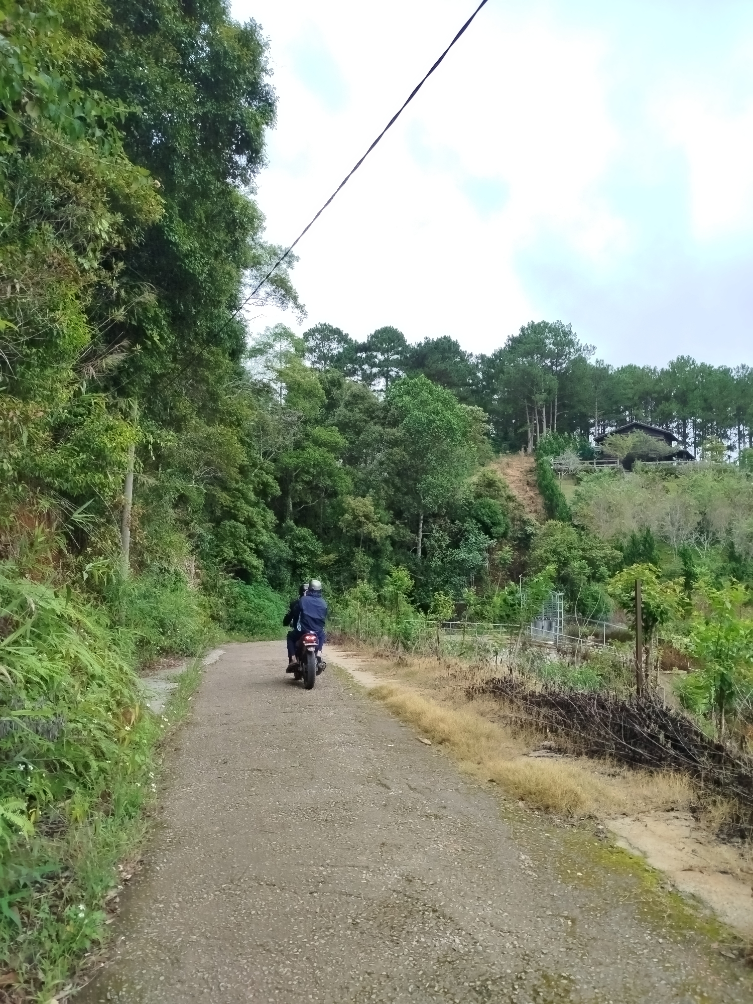 The image depicts a rural road scene in the Cam Ly area of Da Lat, Vietnam. A motorcycle carrying two individuals, one riding and one passenger, is traveling away from the viewer on the paved road. The road is flanked by lush green vegetation, including tall trees and dense undergrowth, indicative of a mountainous or hilly terrain. In the background, a structure, possibly a house or lodge, is visible atop a hill, surrounded by a dense pine forest. The sky is overcast with light clouds, suggesting a potentially cool or humid climate. The overall impression is one of a natural, slightly remote landscape.