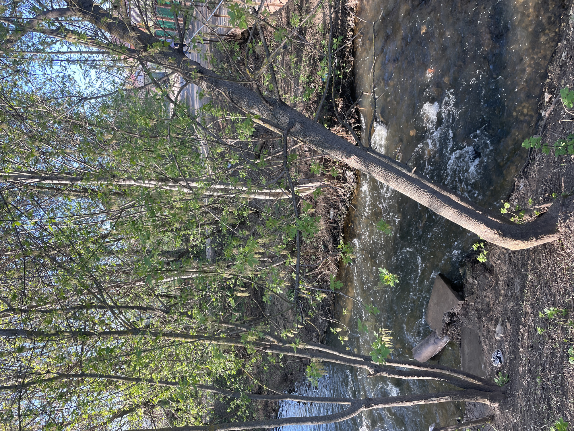 The image depicts a stream or small river flowing through a wooded area, potentially within a city. A tree is leaning or has fallen over and extends partially into the water. The water is clear enough to see some of the stream bed and has some white water rapids. The banks of the stream are earthen, with exposed soil, vegetation, and fallen leaves. Debris, including a broken concrete object or structure, and a metallic pipe are partially submerged in the stream. On the right bank, near the concrete debris, there is also a single shoe. The presence of the concrete and pipe suggests that the stream may flow through an urban or suburban area. The trees have new spring foliage. The location is indicated as Kazan, Russia.