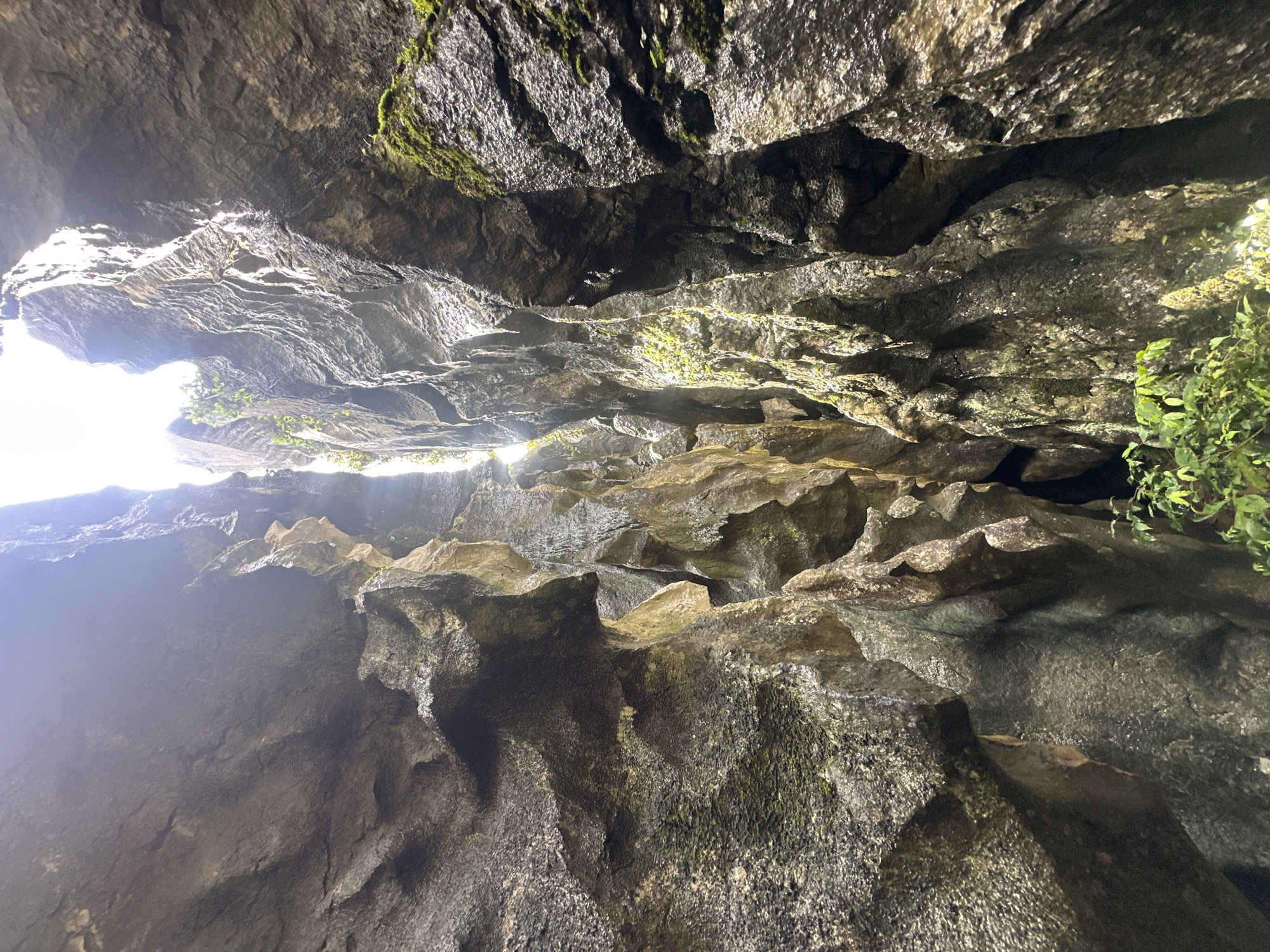 This image depicts a narrow canyon with towering rock formations. The canyon walls are textured with rugged surfaces, some appearing damp and reflecting light, while others are covered in patches of green moss and vegetation. Sunlight streams down from the top, illuminating the canyon and casting shadows. The perspective is looking upwards from within the canyon. The scene is located in the Shilin (Stone Forest) area, a UNESCO World Heritage Site on the outskirts of Kunming, China. There are no people or specific actions visible in the image. The environment is characterized by natural geological formations.