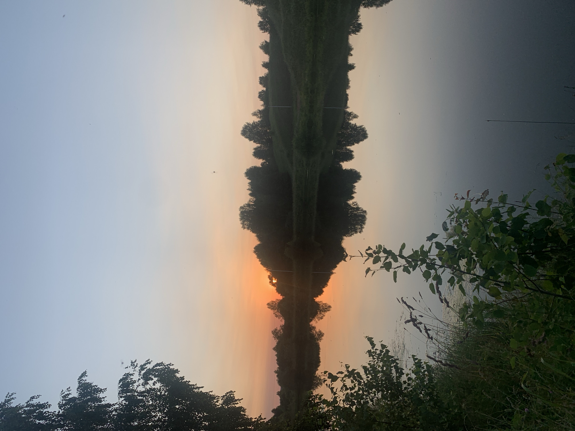 The image shows a calm lake at sunset with the sun setting behind a line of trees on the far bank. The sky is a soft gradient of pale blue to orange, reflecting on the water. The foreground features tall grass and leafy branches of trees on the left and right sides of the frame. The reflection of the trees and the sunset on the water is clear and undisturbed. The scene is tranquil and natural, suggesting a rural or park-like setting. While the prompt mentions Zasechnyi, Russia, there are no identifiable landmarks or features within the image that specifically place it in that city.