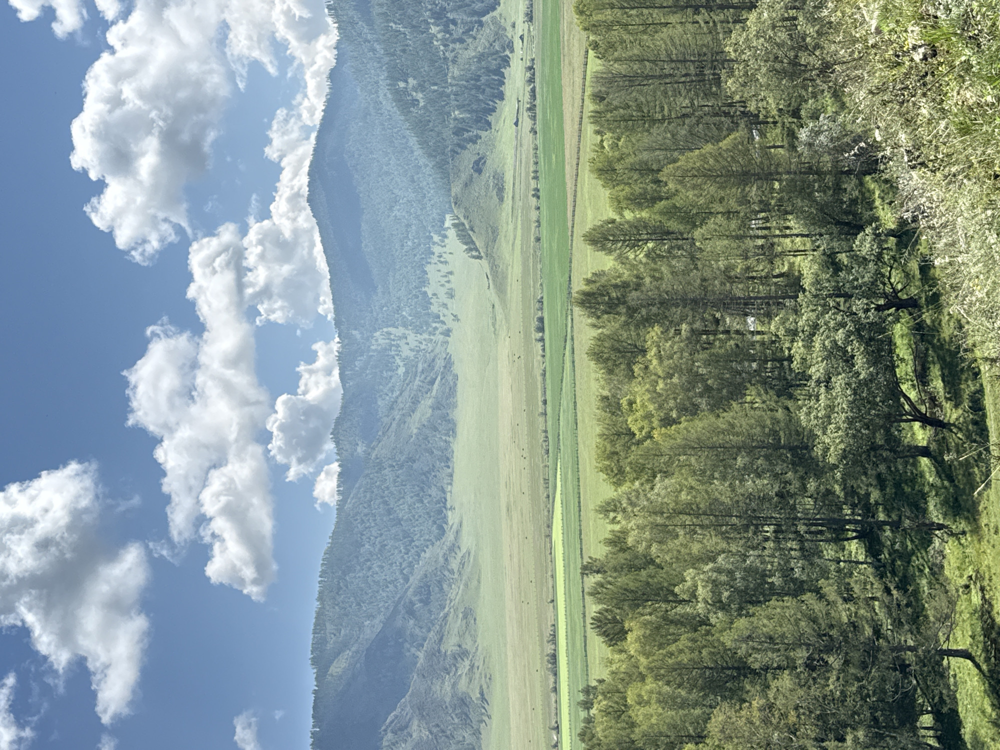 The image captures a serene, wide-angle landscape view of the Bichiktu-Boom Gorge in Russia. In the foreground, a dense forest of tall, slender evergreen trees dominates the scene, with lighter green foliage interspersed amongst the darker shades. The trees are situated on a gently sloping terrain covered in lush, green grass.
Beyond the forest, a vast, flat valley unfolds, featuring neatly divided fields of varying shades of green, suggesting agricultural use. A thin, dark line, possibly a fence or a road, runs horizontally across this section. In the distance, a series of rolling green hills rise, their slopes dotted with scattered trees, transitioning into larger, more rugged mountains that form the backdrop. The mountains are covered in a dense, dark green forest, with visible ridges and valleys.
The sky above is a vibrant blue, punctuated by large, fluffy white clouds, creating a dynamic contrast with the earthy tones of the landscape. The lighting suggests it is daytime, likely late morning or early afternoon, with the sun casting a soft illumination over the scene. No people or animals are visible in the frame. The overall impression is one of natural beauty and tranquility.