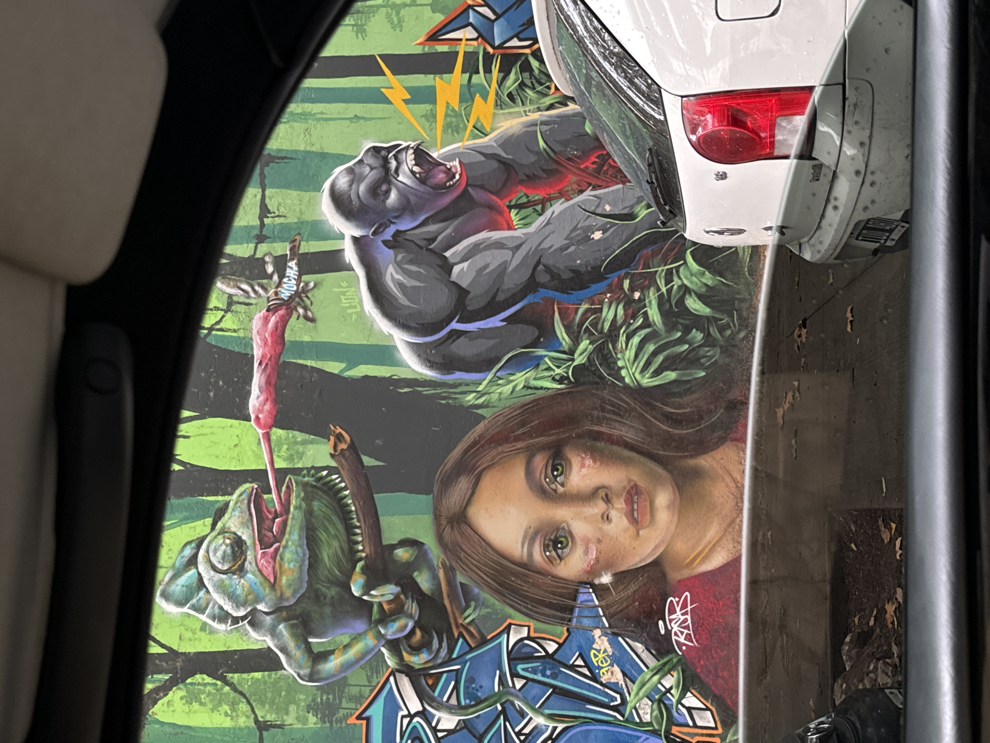 View through a car window of a mural in Buenos Aires, Argentina. The mural depicts a gorilla roaring with lightning bolts behind it, a chameleon with its tongue extended catching a butterfly, a woman's face, and graffiti art. A white car is partially visible in front of the mural. The street outside the car is visible as well. The scene is captured from inside a car, including the passenger seat.
